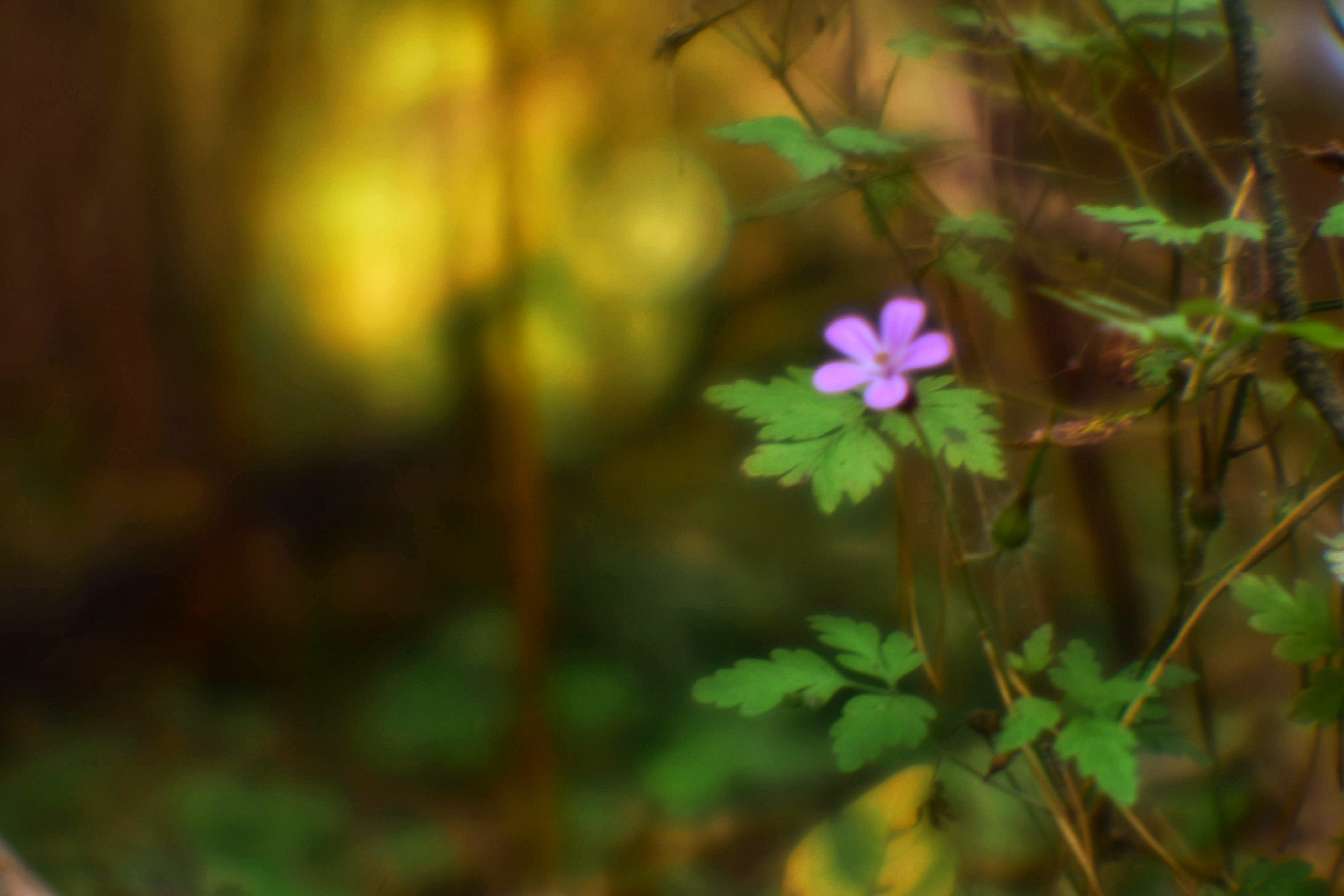 Монокль. То ещё портфолио