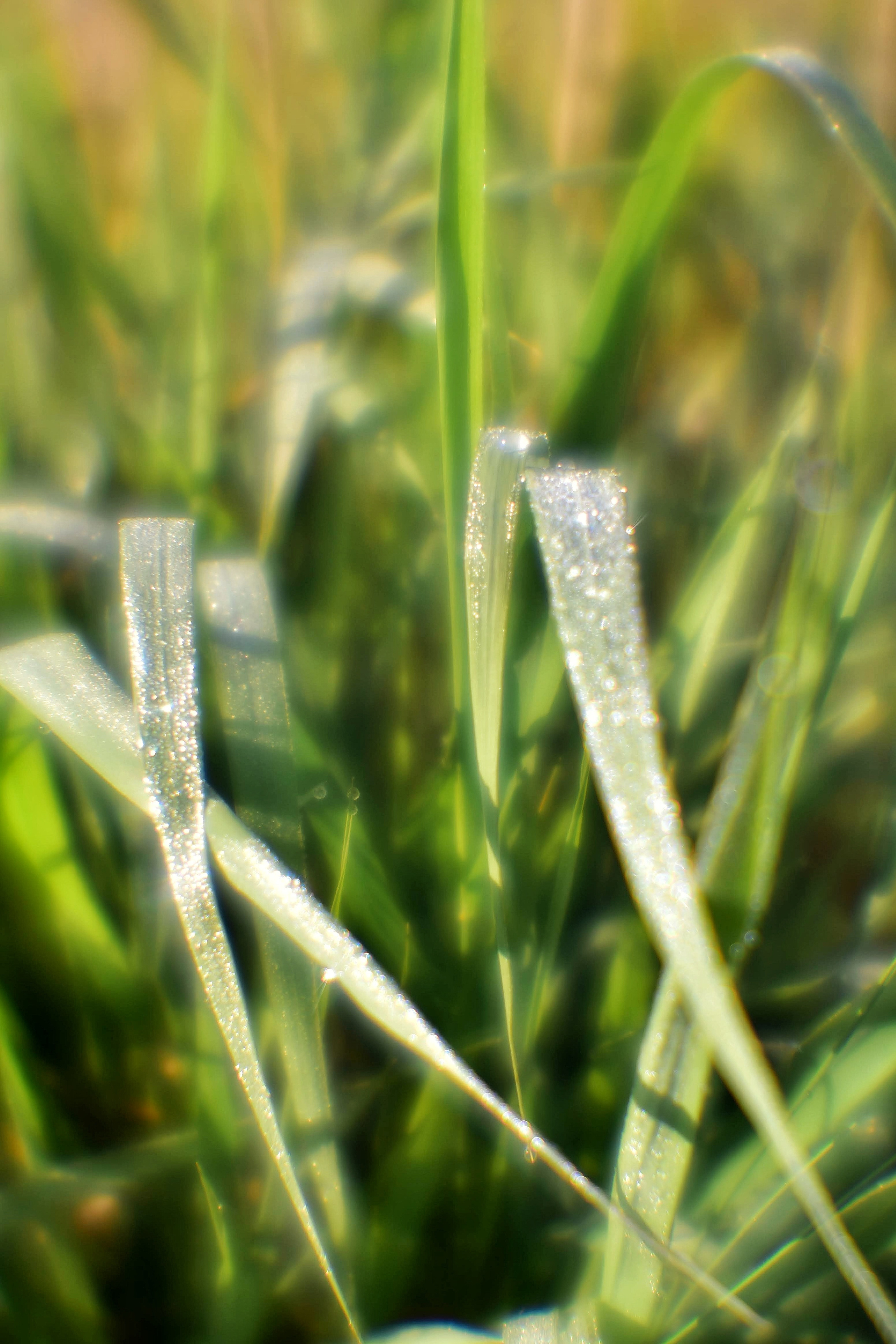 Монокль. То ещё портфолио