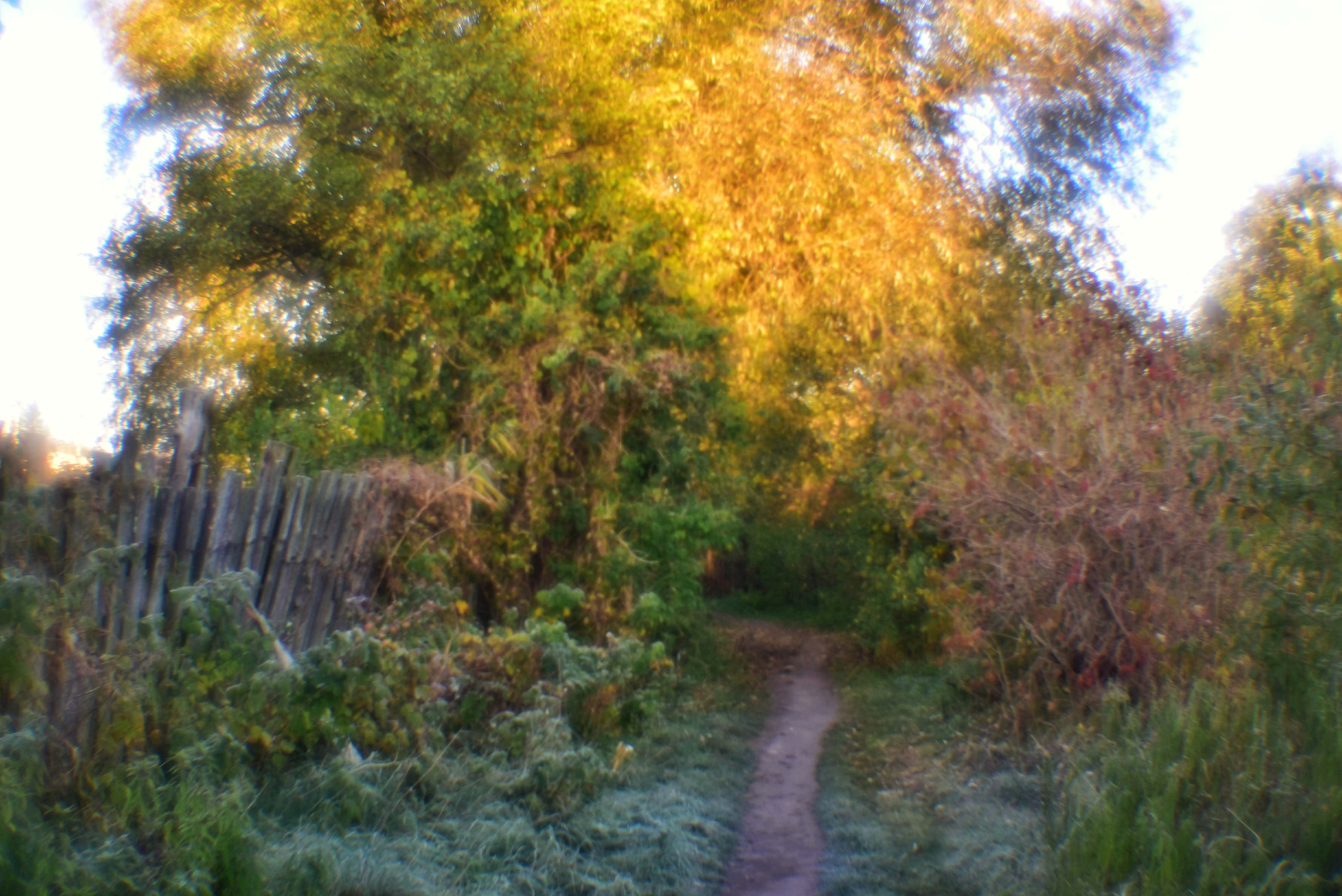 Монокль. То ещё портфолио