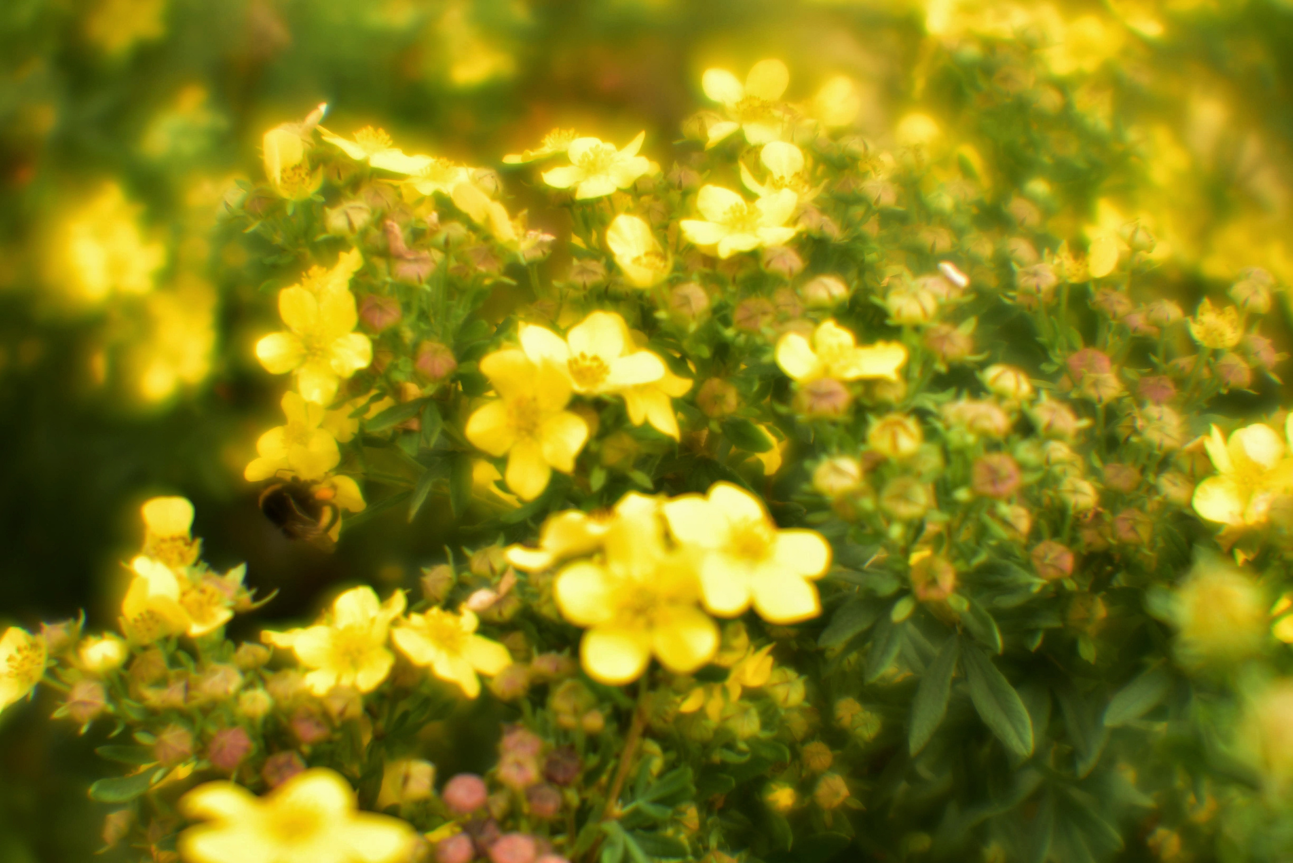 Монокль. То ещё портфолио