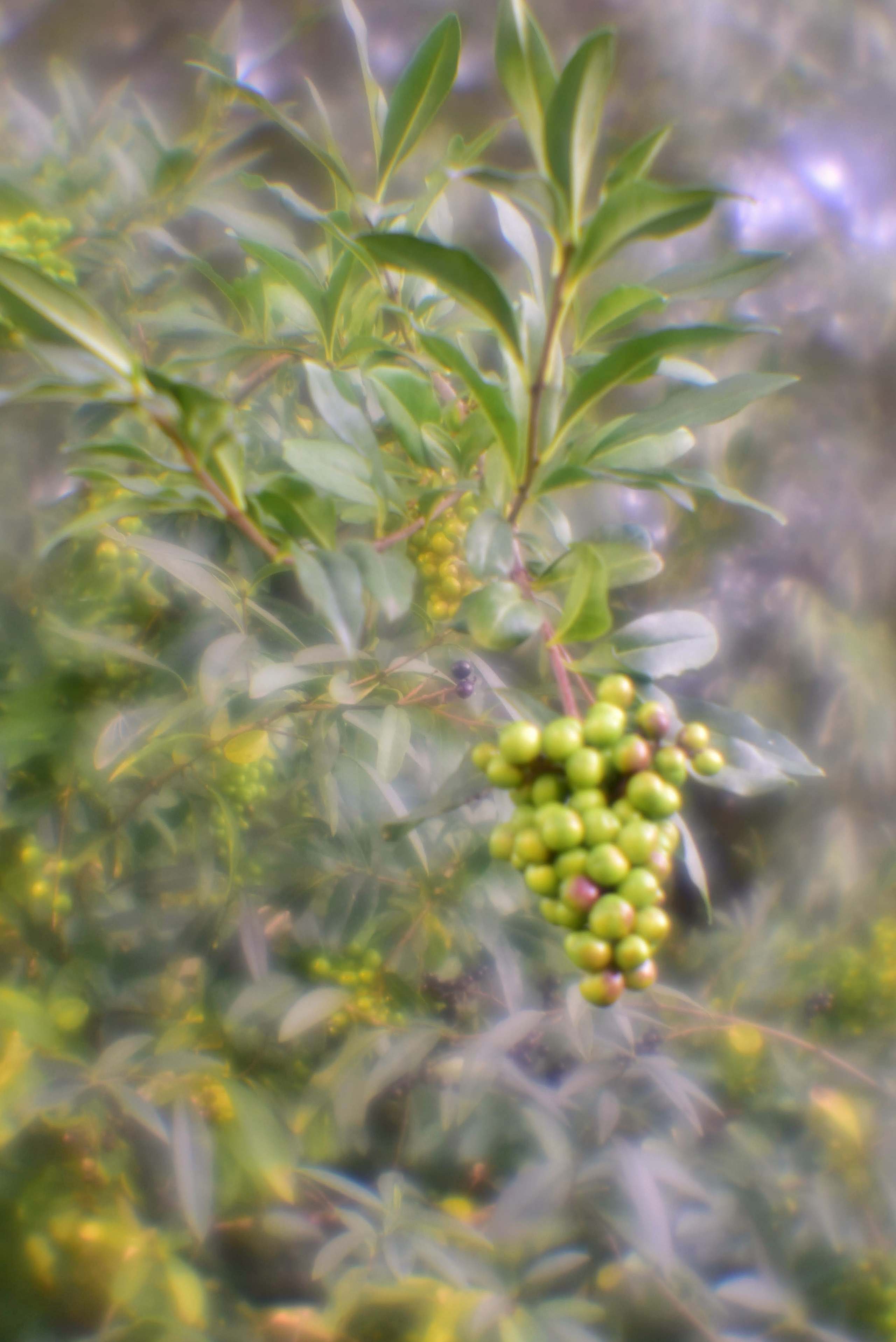 Монокль. То ещё портфолио