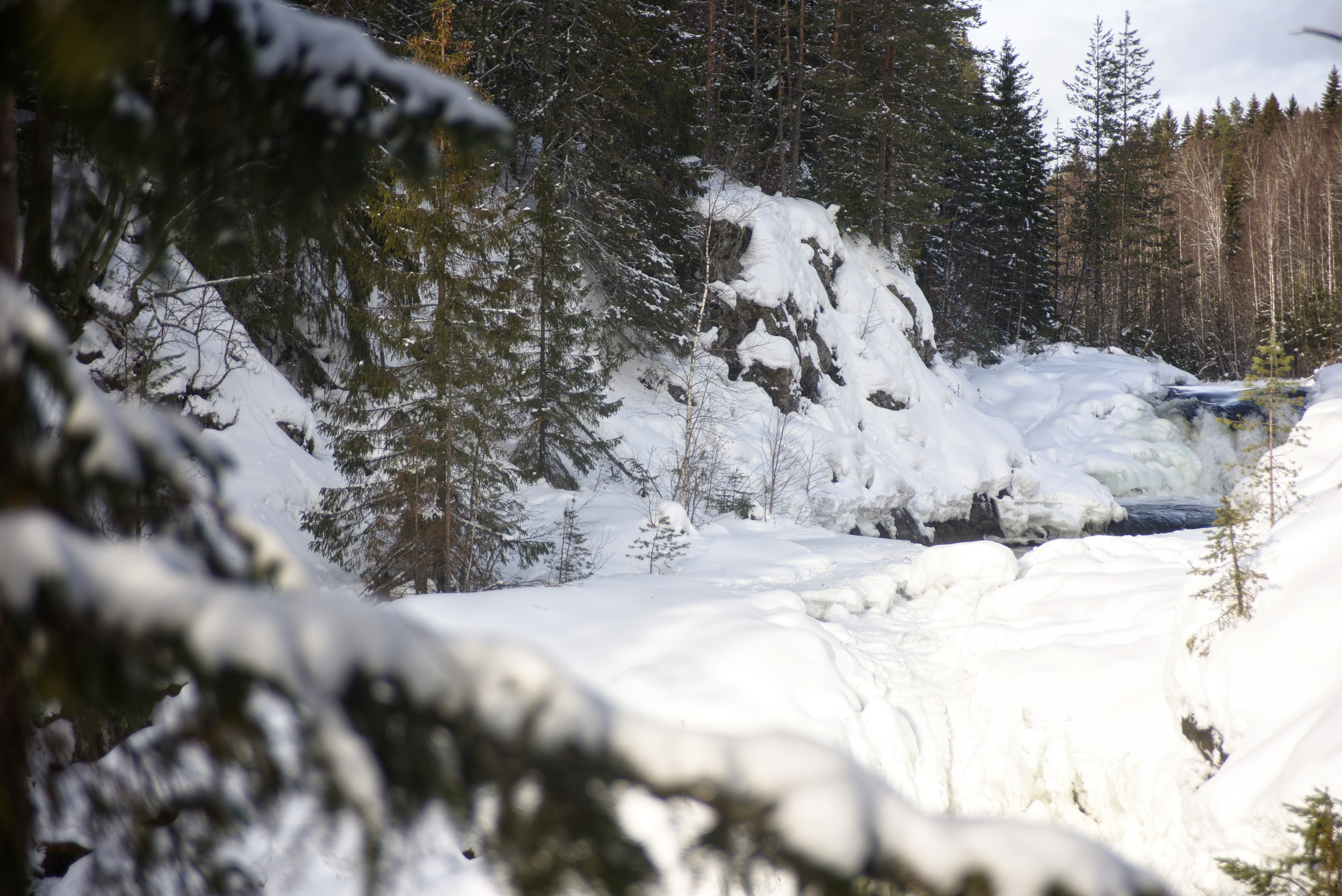 Карелия. 2022. То ещё портфолио