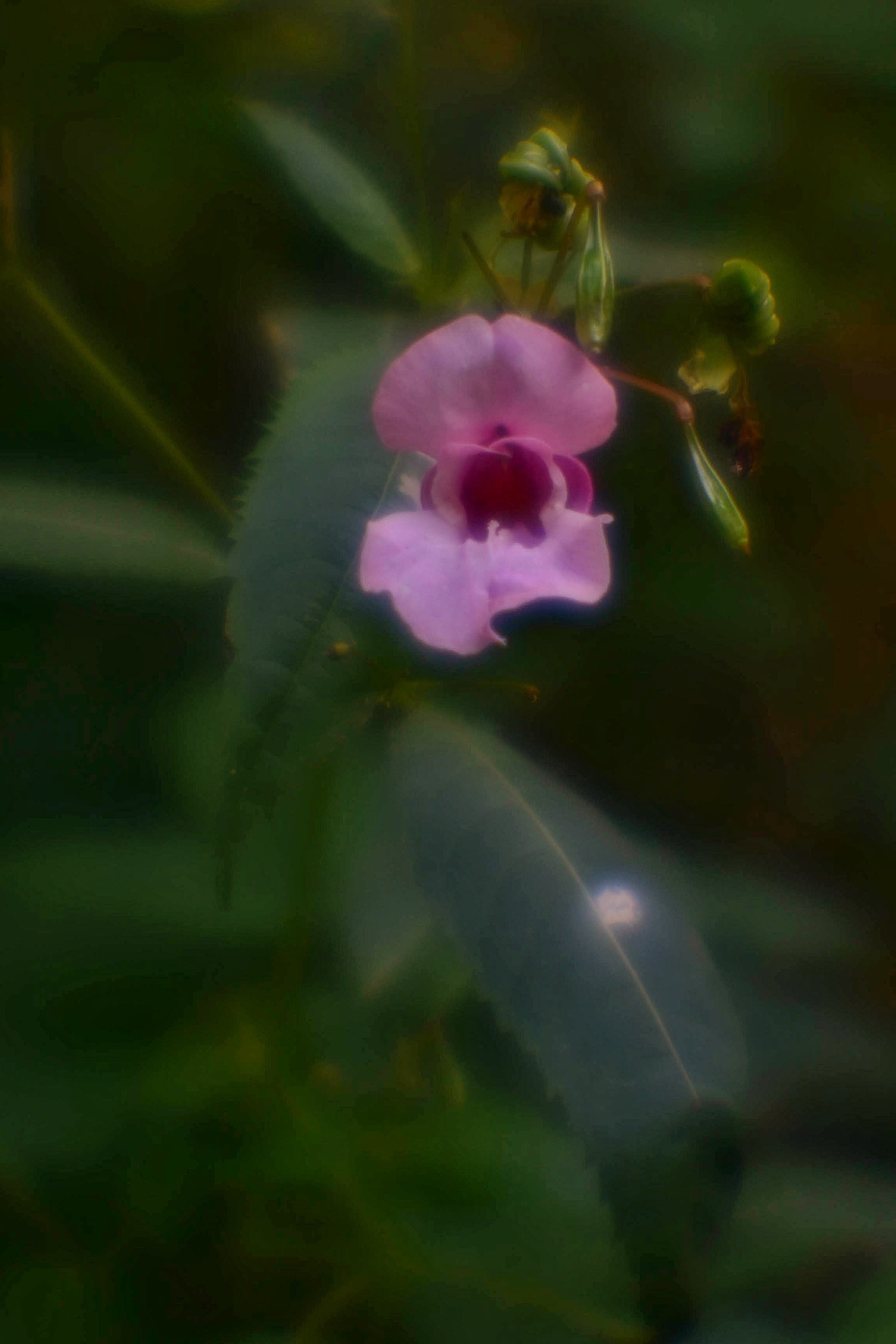 Монокль. То ещё портфолио