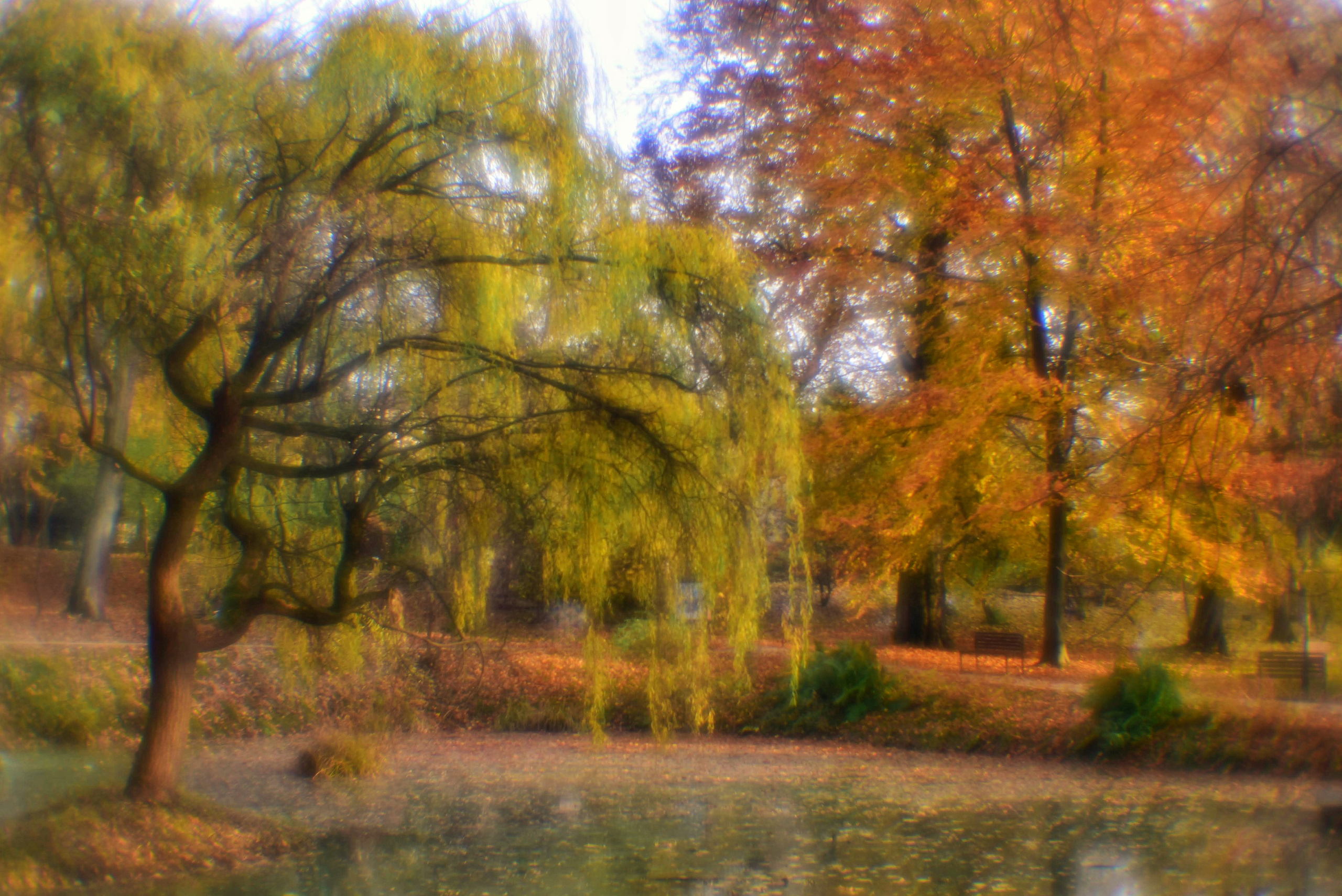 То ещё портфолио