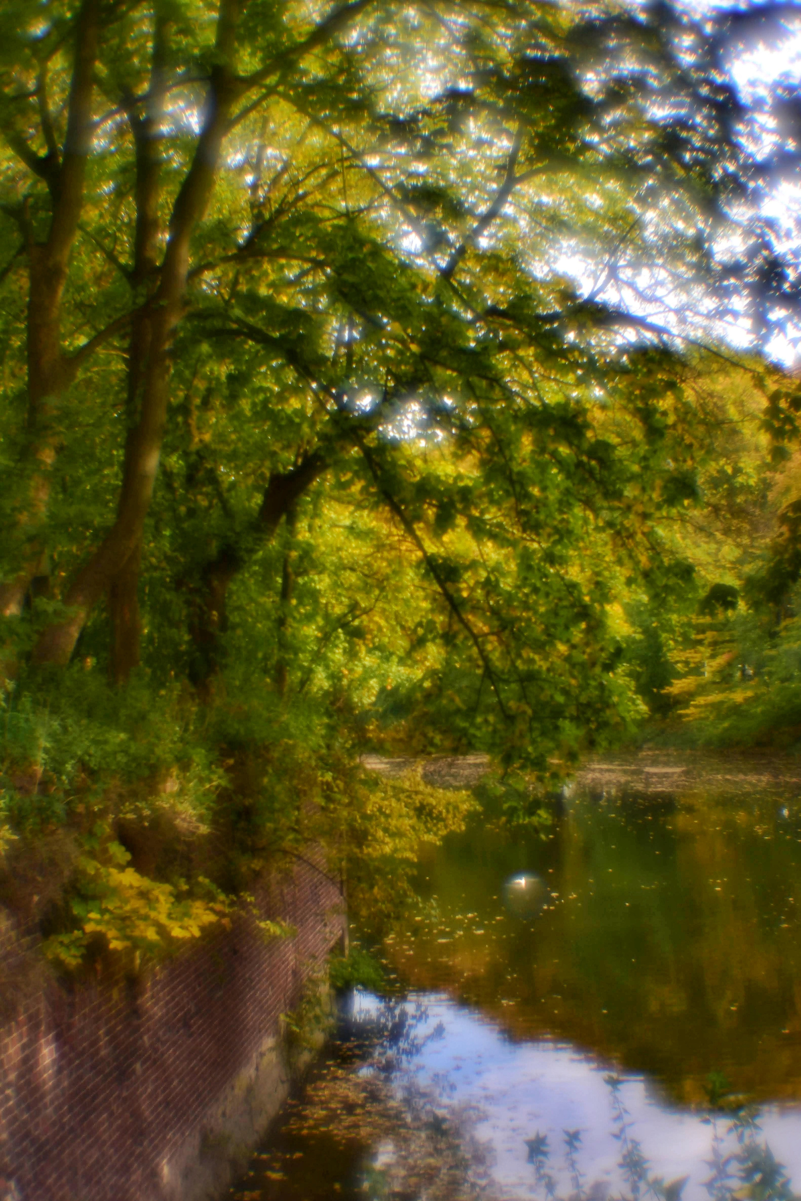 Монокль. То ещё портфолио