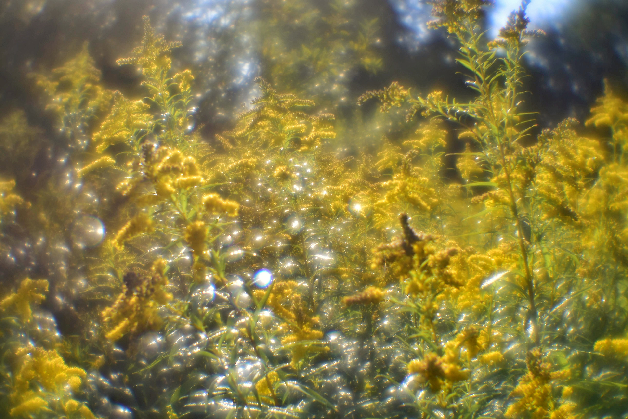 Монокль. То ещё портфолио