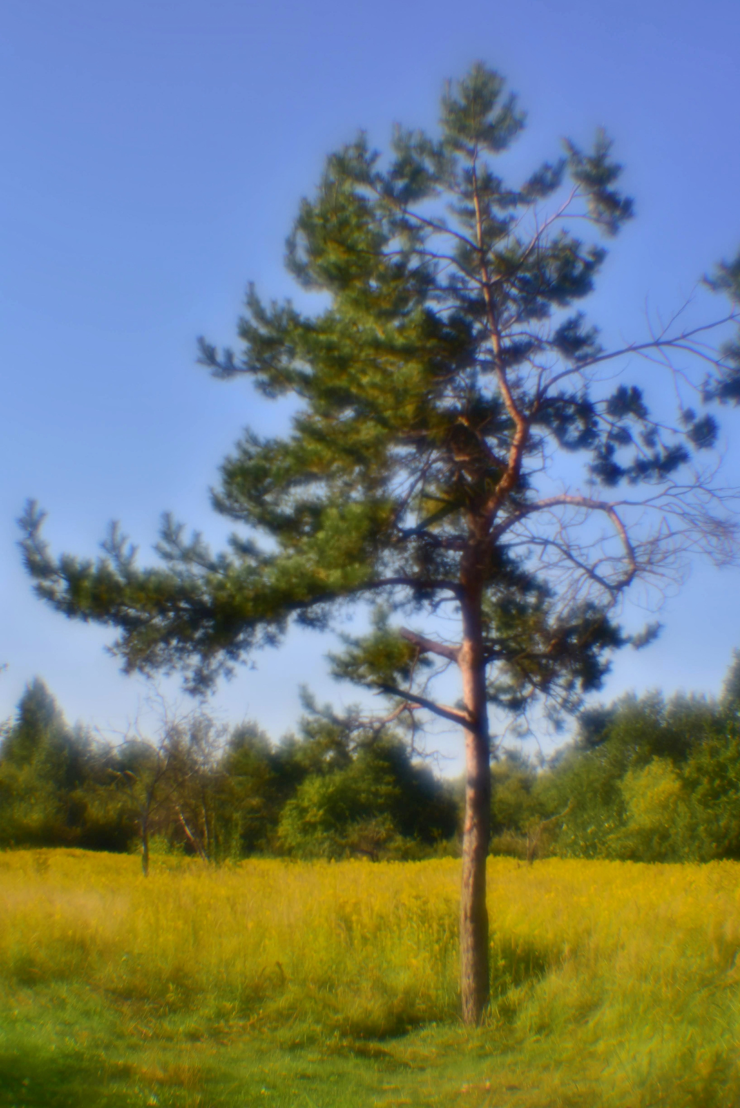 Монокль. То ещё портфолио