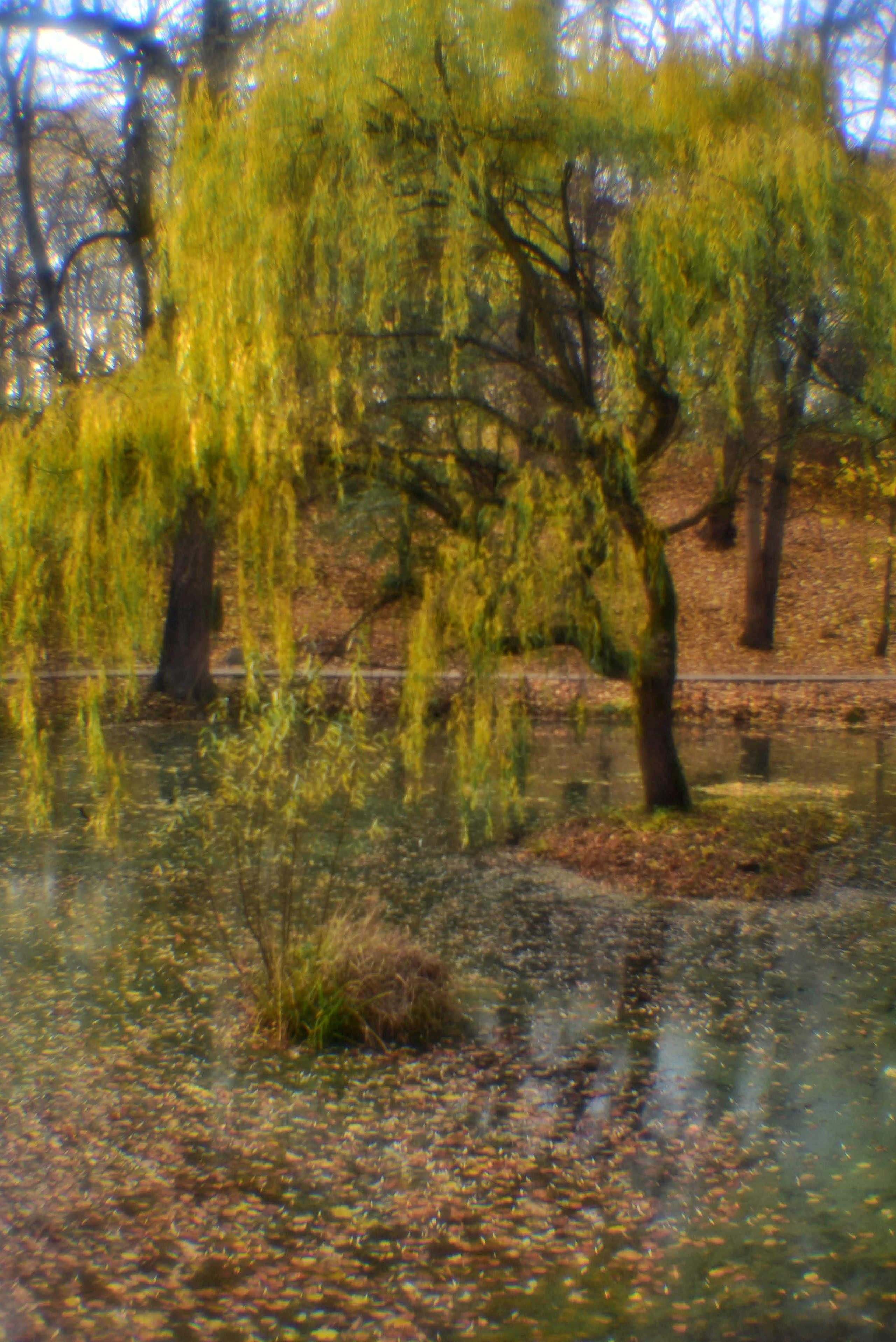 Монокль. То ещё портфолио