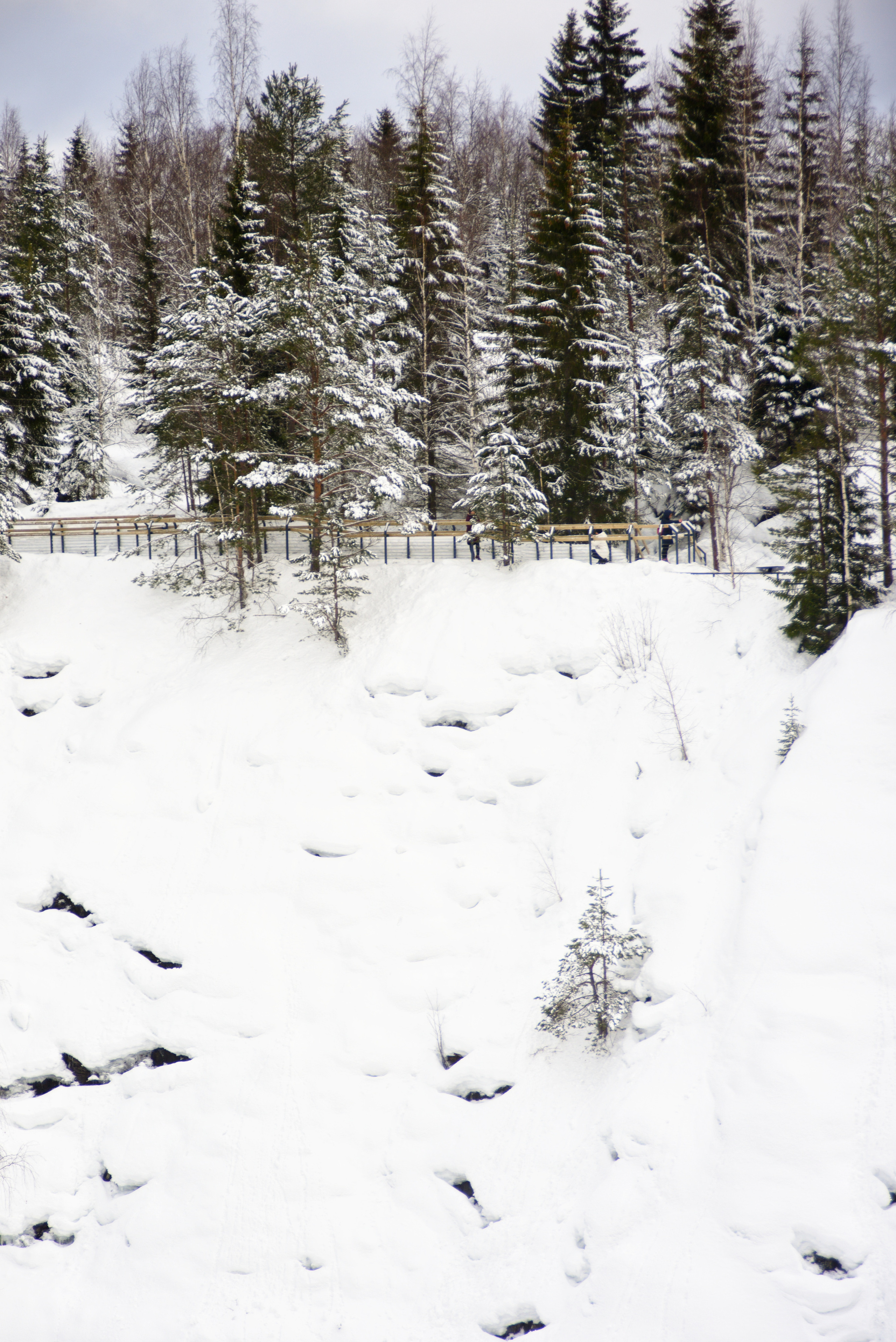 Карелия. 2022. То ещё портфолио