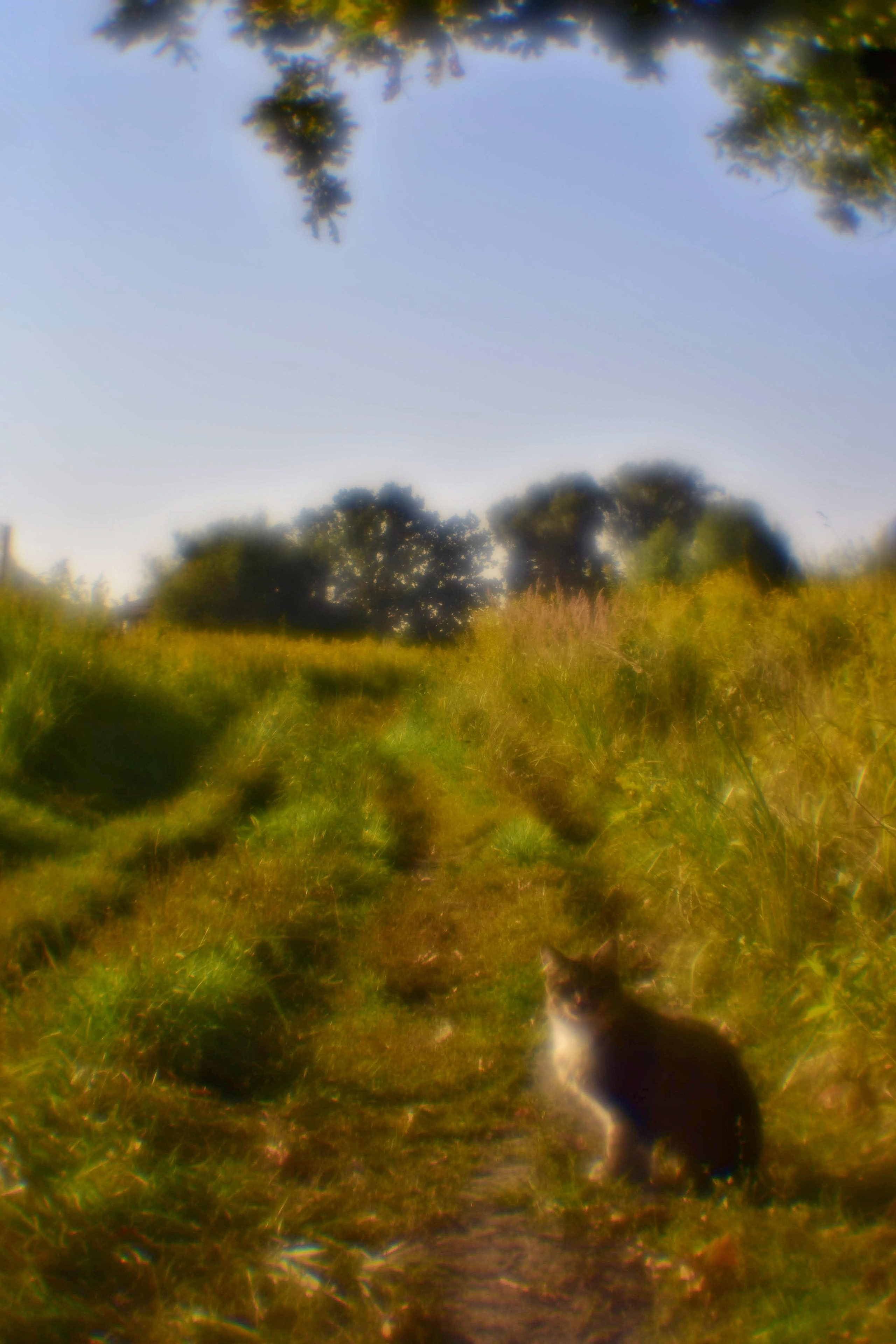 Монокль. То ещё портфолио