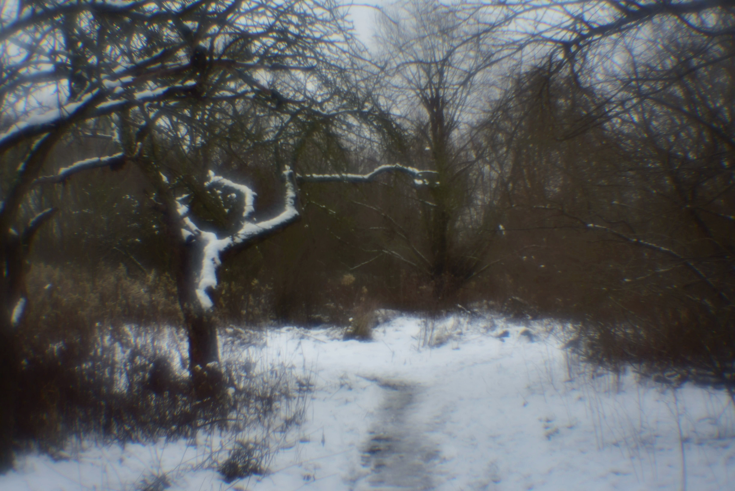 Монокль. То ещё портфолио