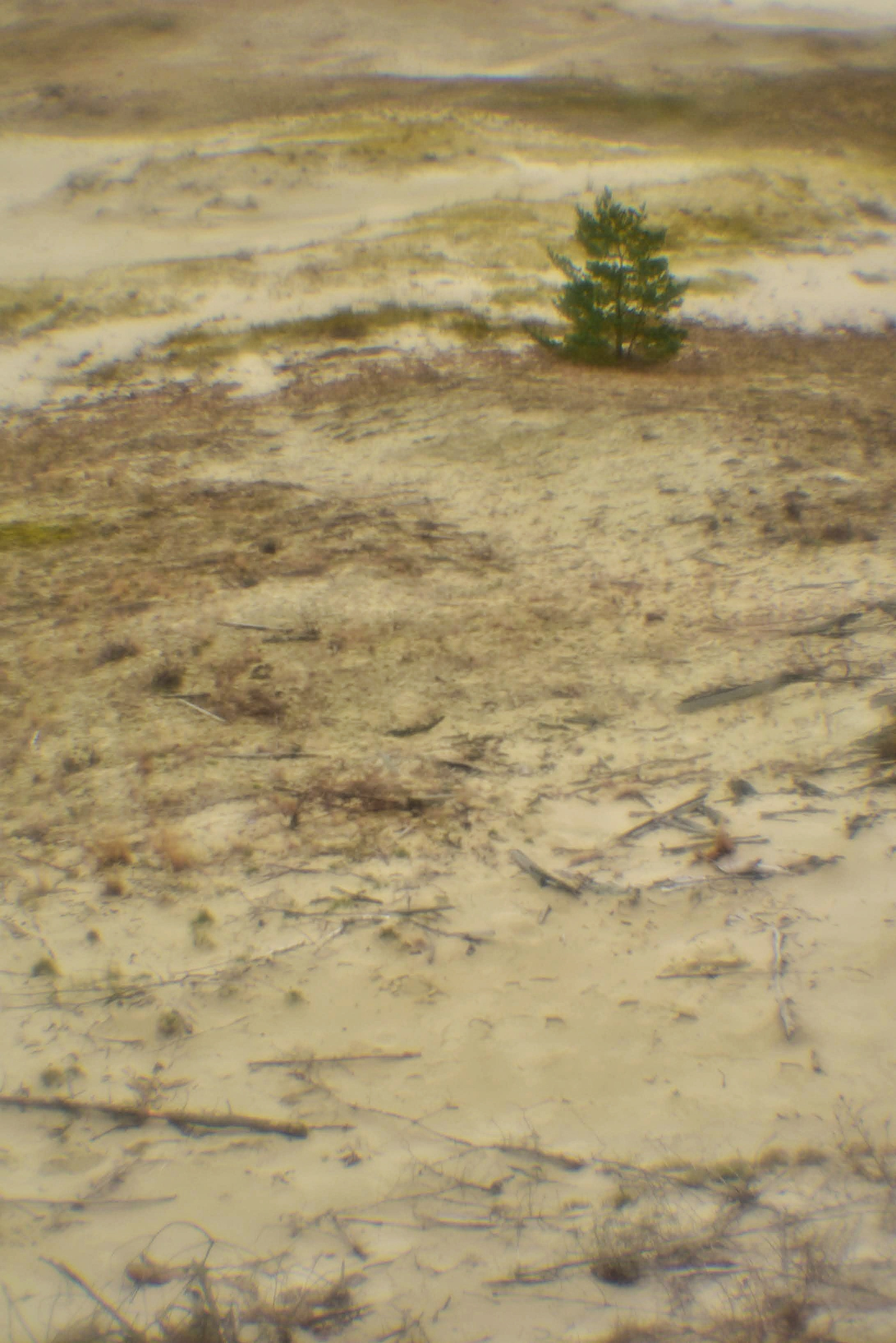 Монокль. То ещё портфолио