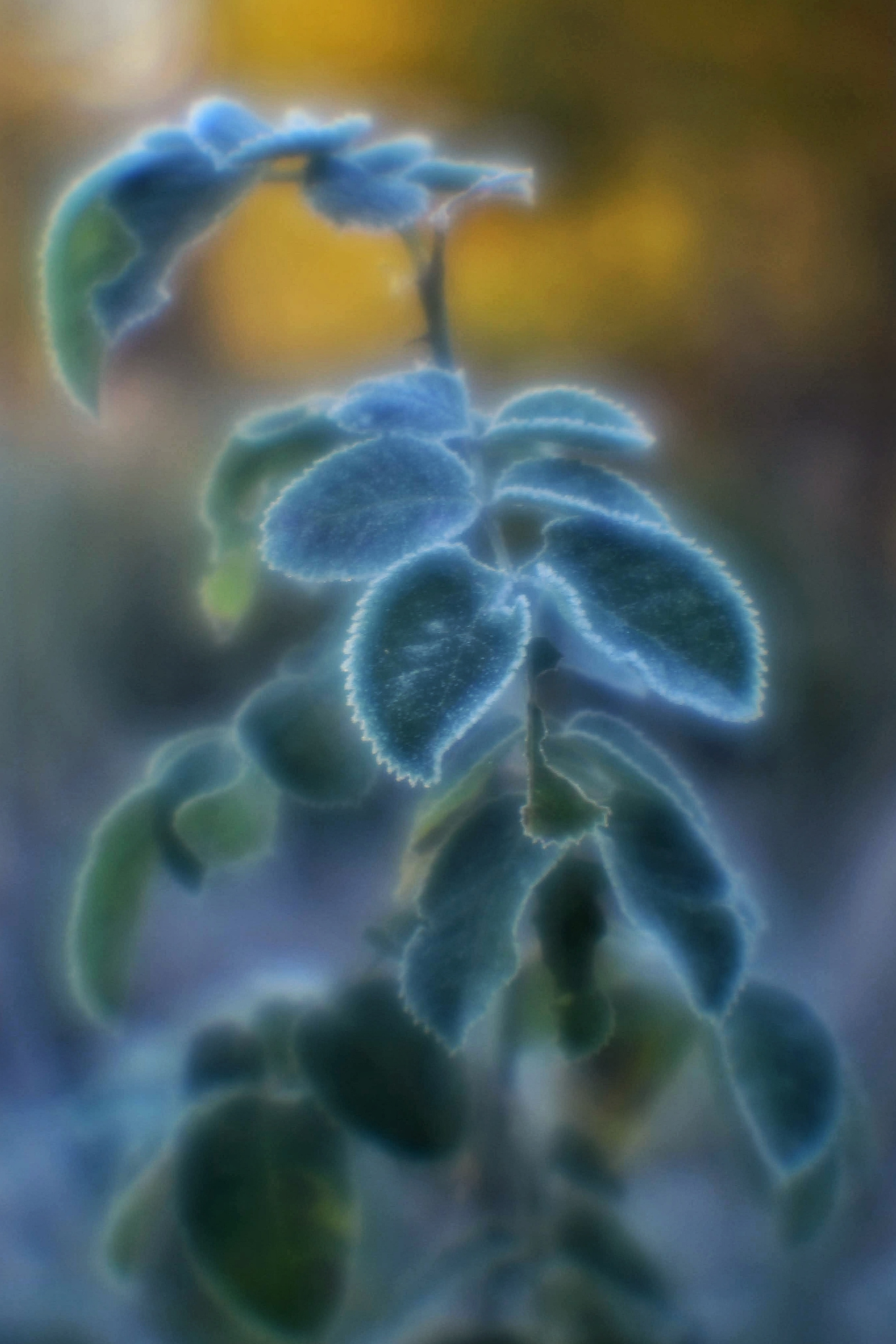 Монокль. То ещё портфолио