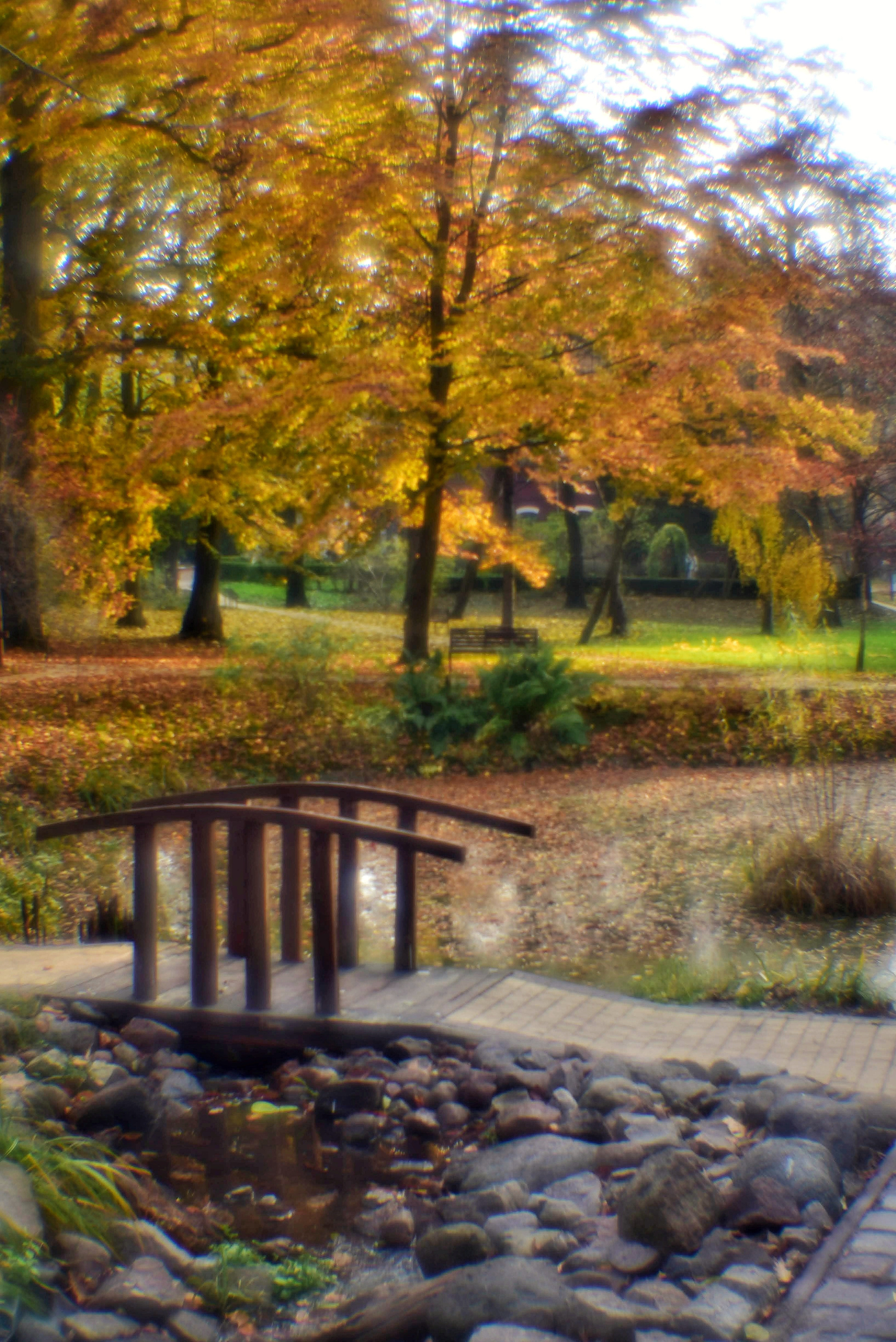 Монокль. То ещё портфолио