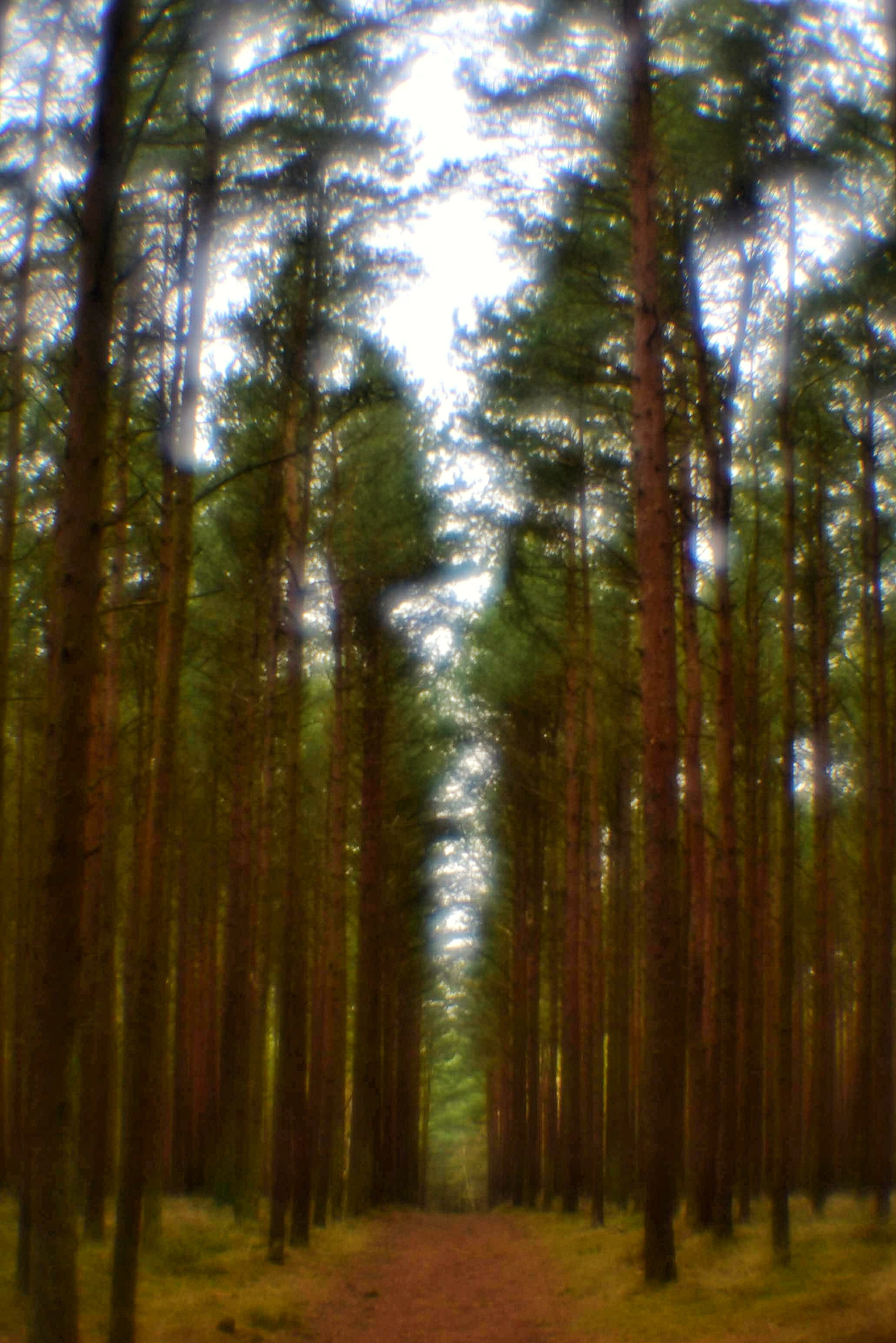 Монокль. То ещё портфолио