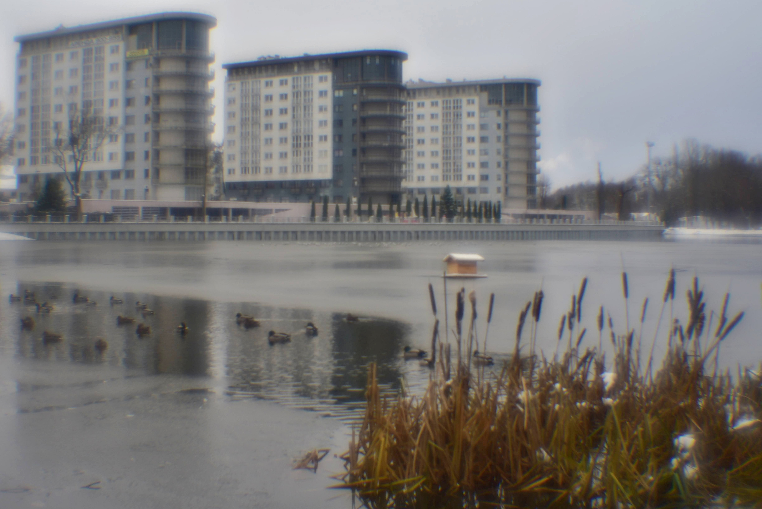 Монокль. То ещё портфолио