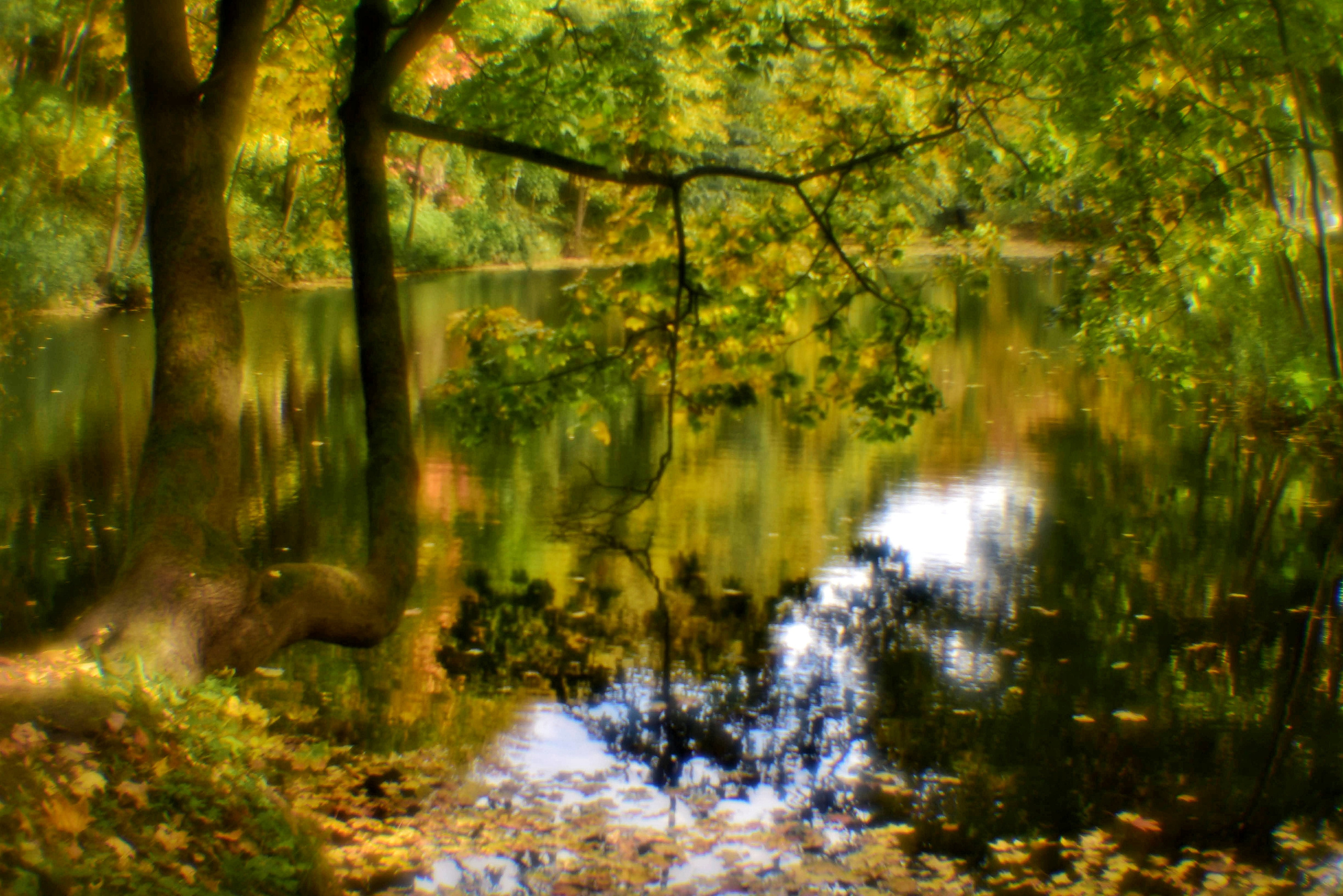 Монокль. То ещё портфолио