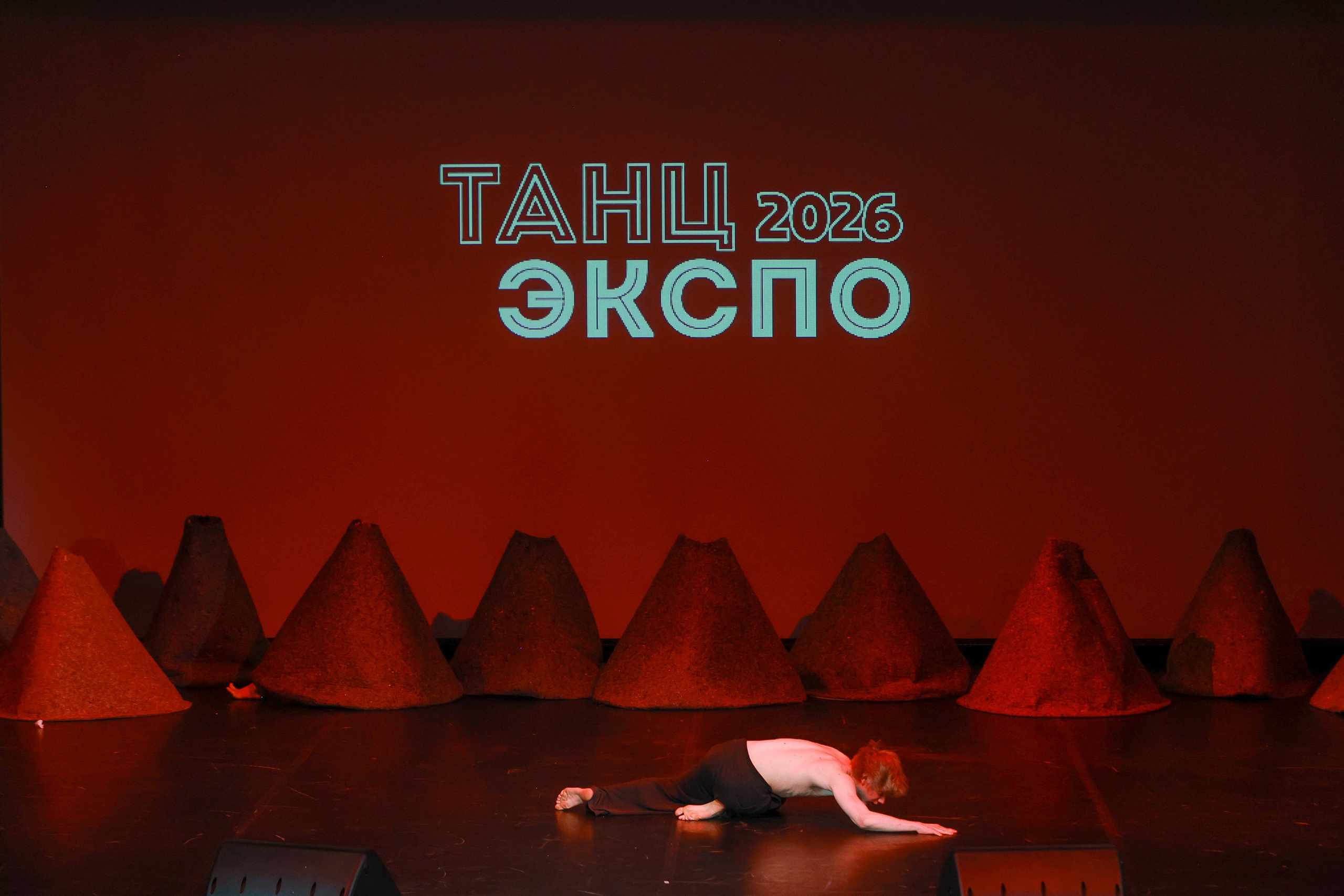 Небесные ласточки на Танц ЭКСПО 2026. Фотограф Юлия Мальцева