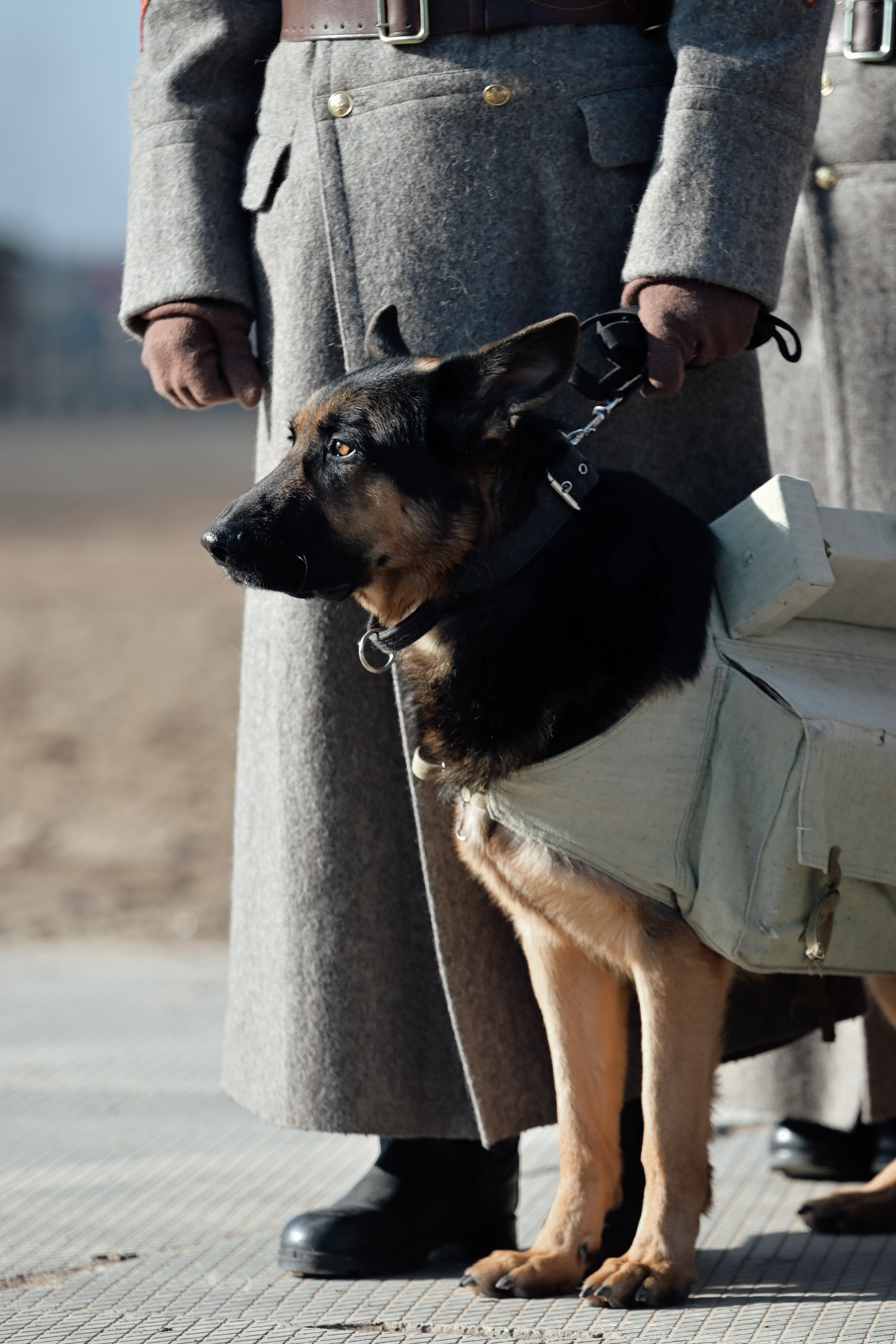 «За Сталинград». Военно-историческая реконструкция 2025. Фотограф в Волгограде Виталий Самойлов
