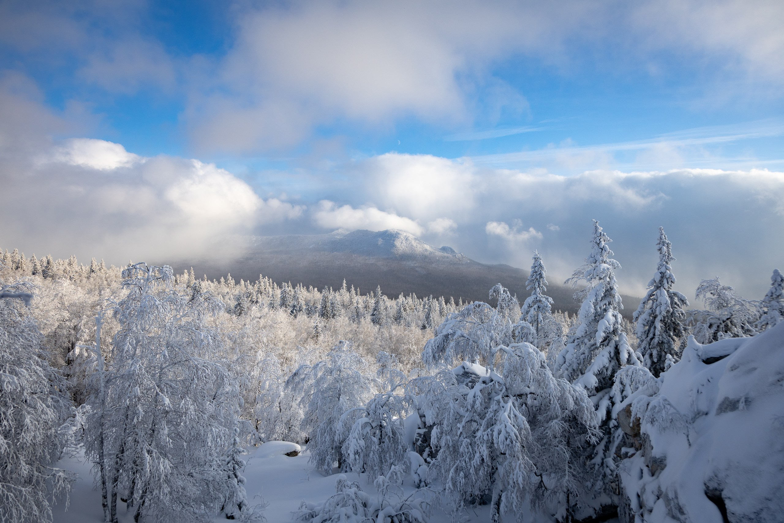 Черная скала. Sandman Realm