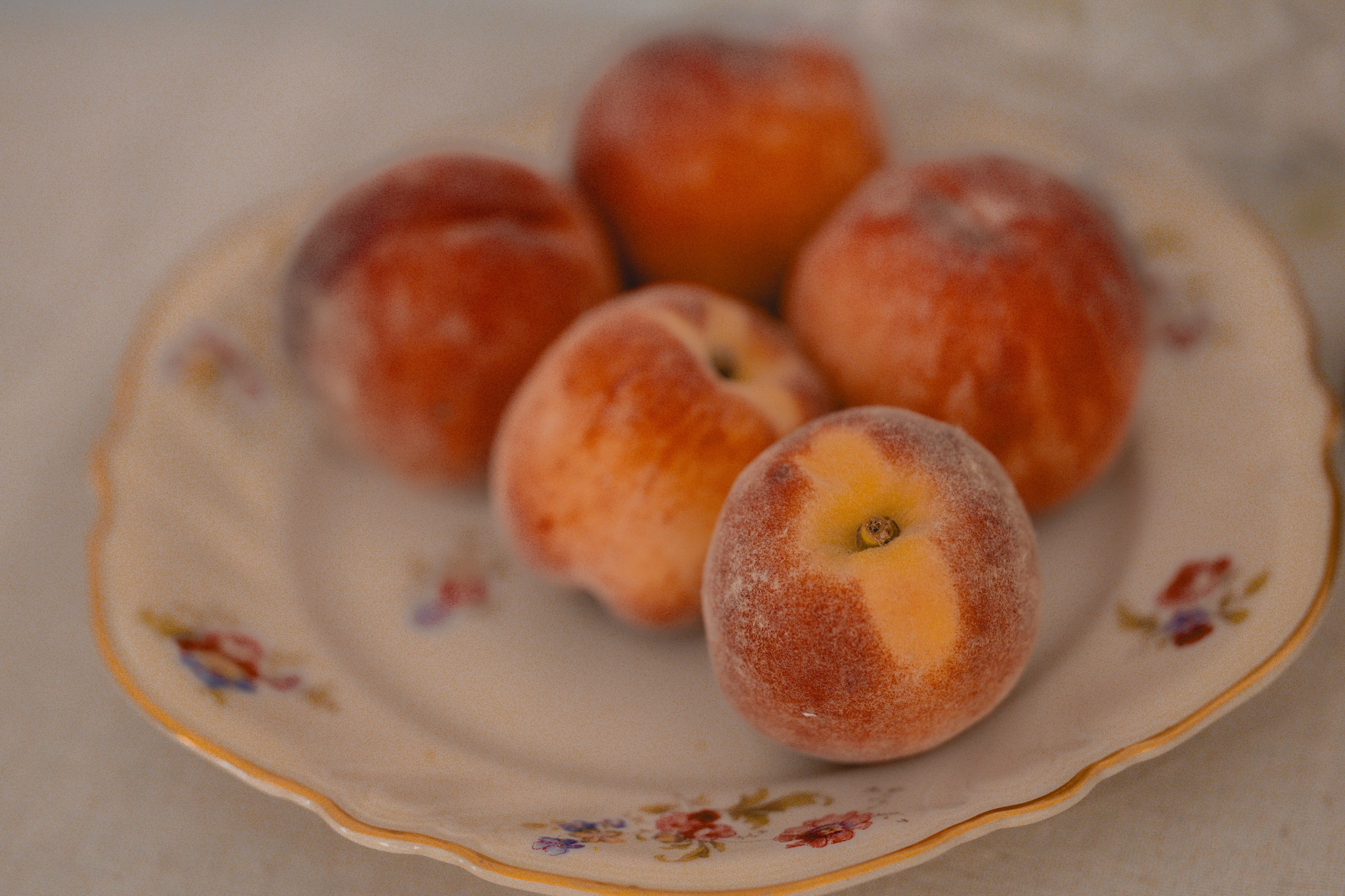 Alyona. Самид Али, фотограф из Санкт-Петербурга, Россия
