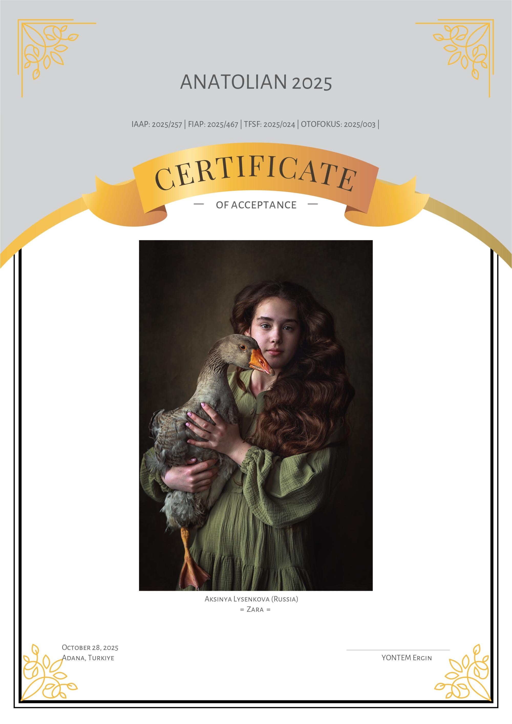 Дипломы. Детский, семейный фотограф в Ижевске и Москве Аксинья Лысенкова ADEN