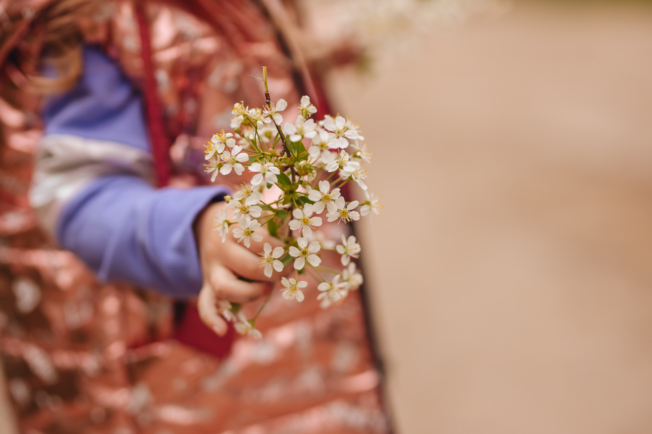 Дашенька. Свадебный и семейный фотограф в Туле и области Маша Костина