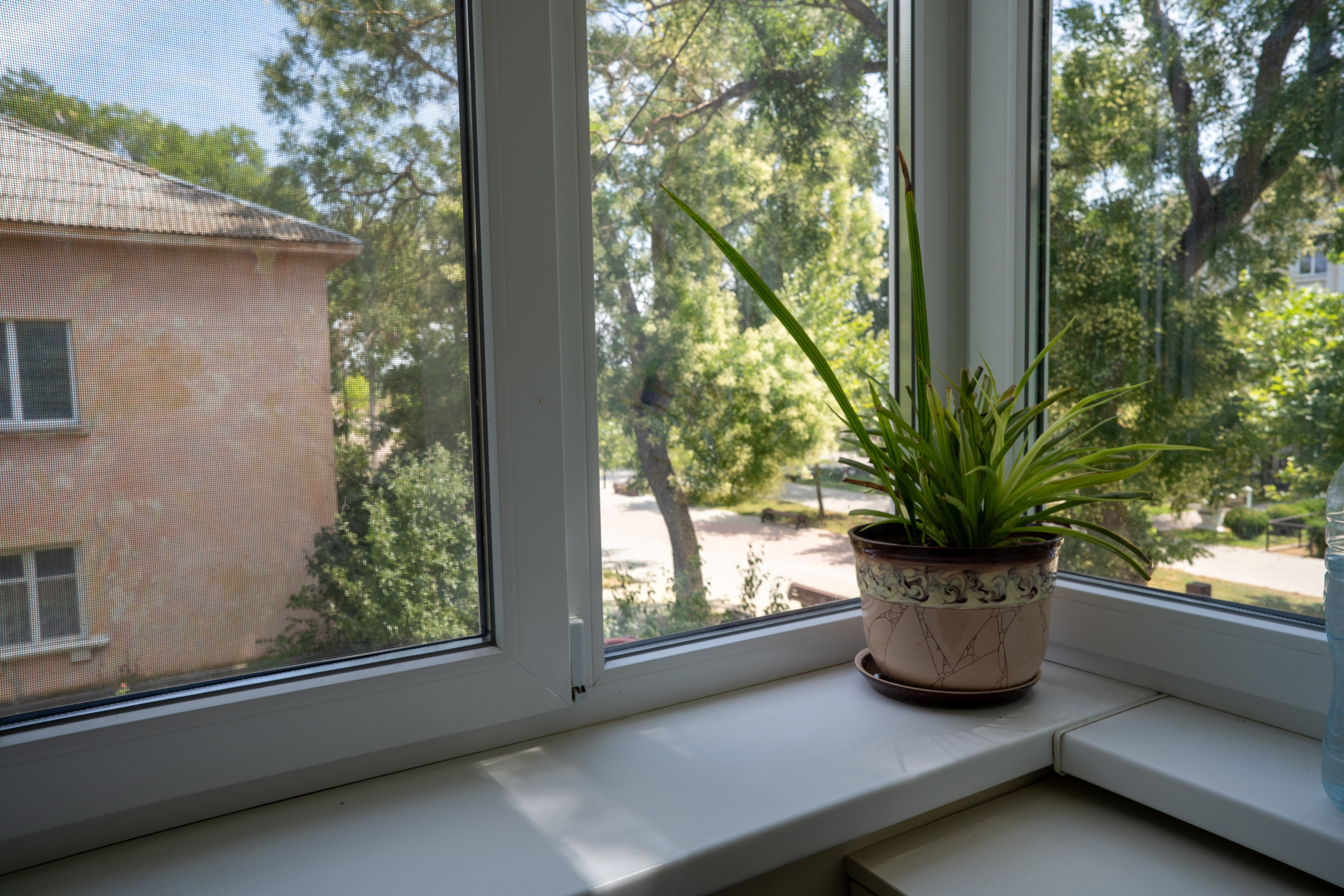 Квартира ул. Курортная. Фотограф в Крыму Эдуард Дубинин