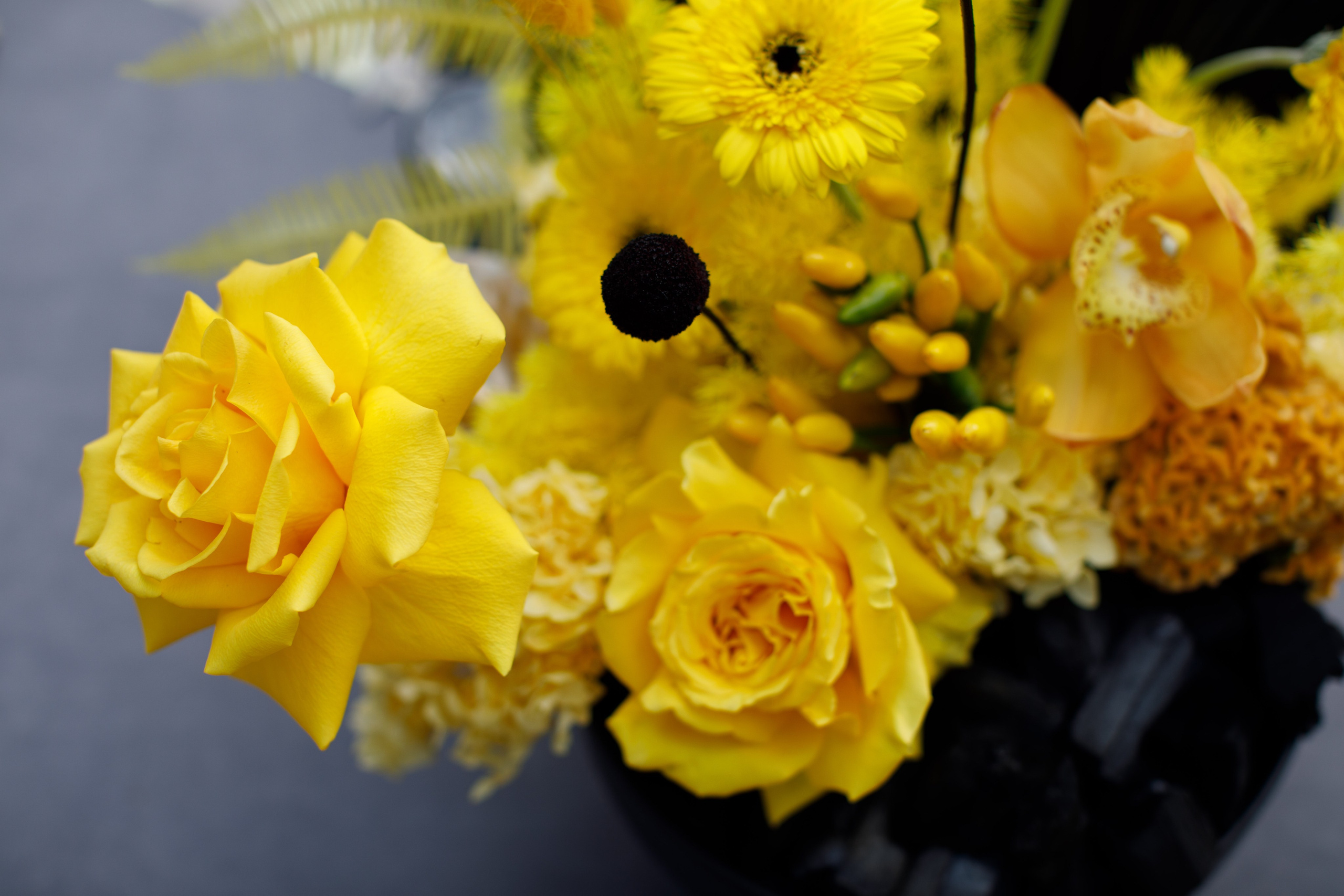 Разрушители | 18.08.2025 | г. Москва. МашаШарики | Декоратор | Москва