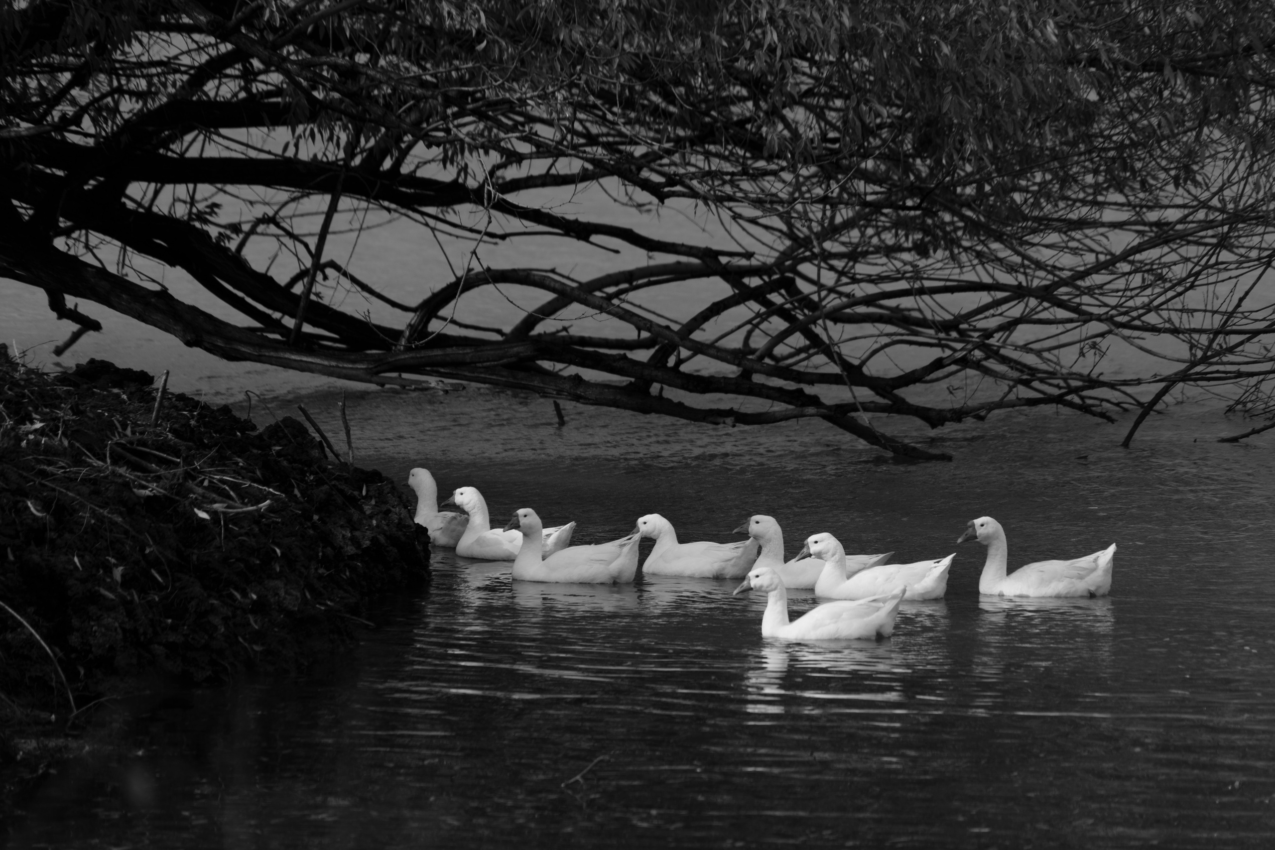 Бекстейдж сьемки кино. Профессиональная съемка в Алматы