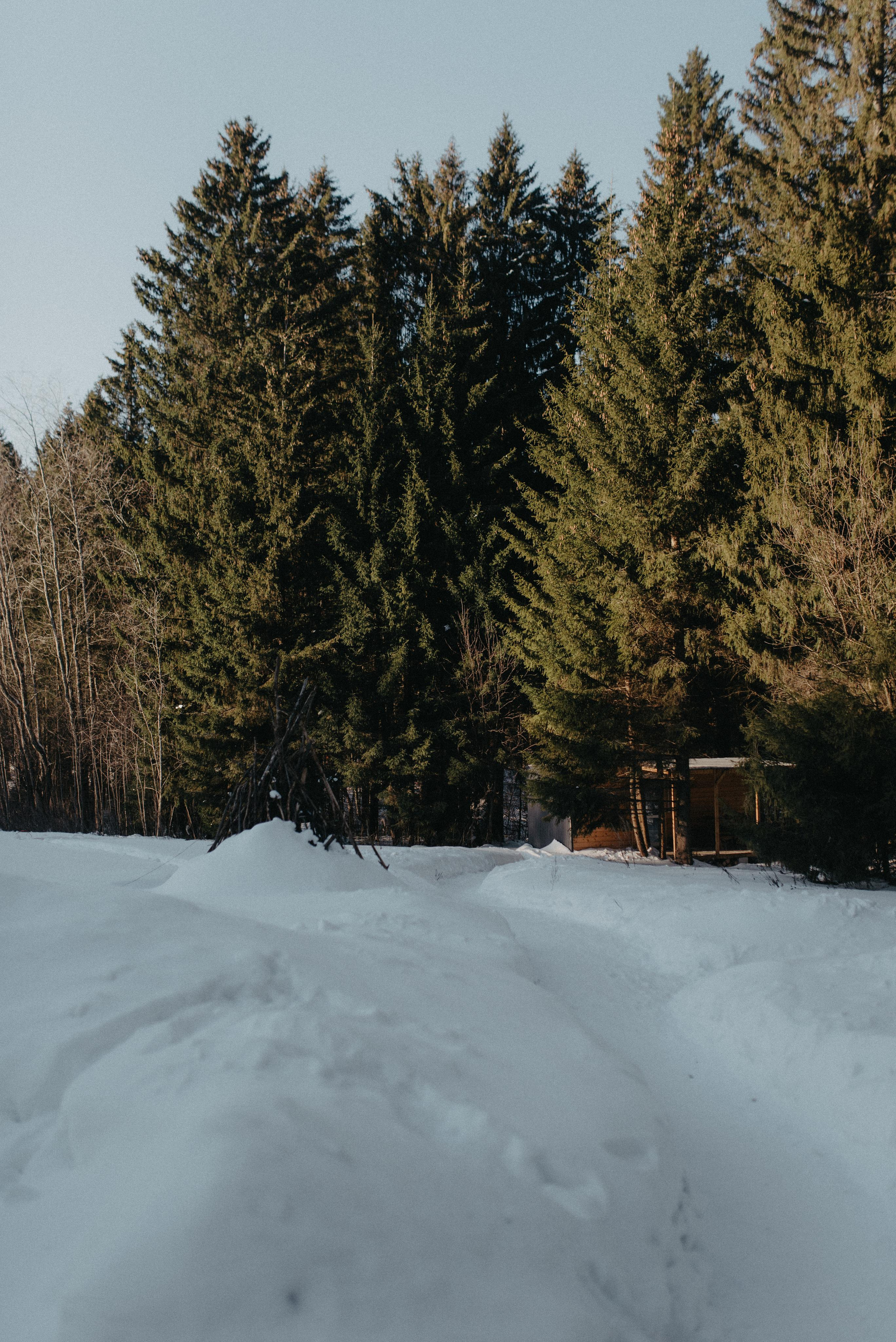 Домик. Главная