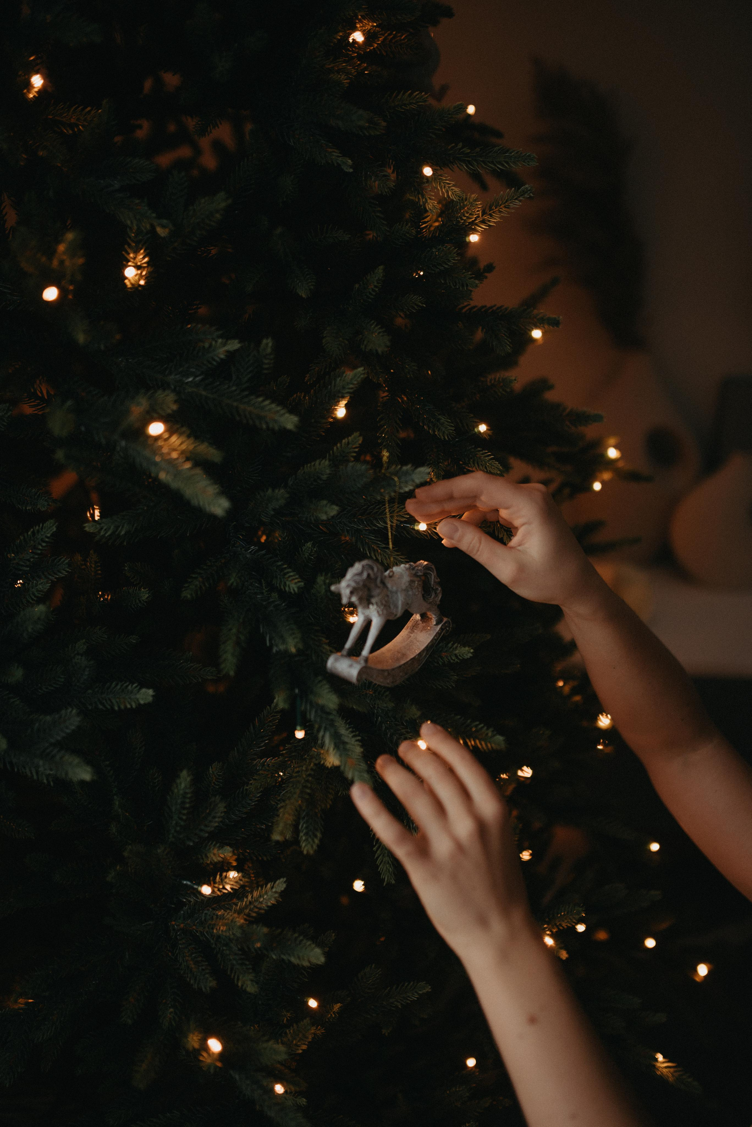 Счастье — это просто. Главная