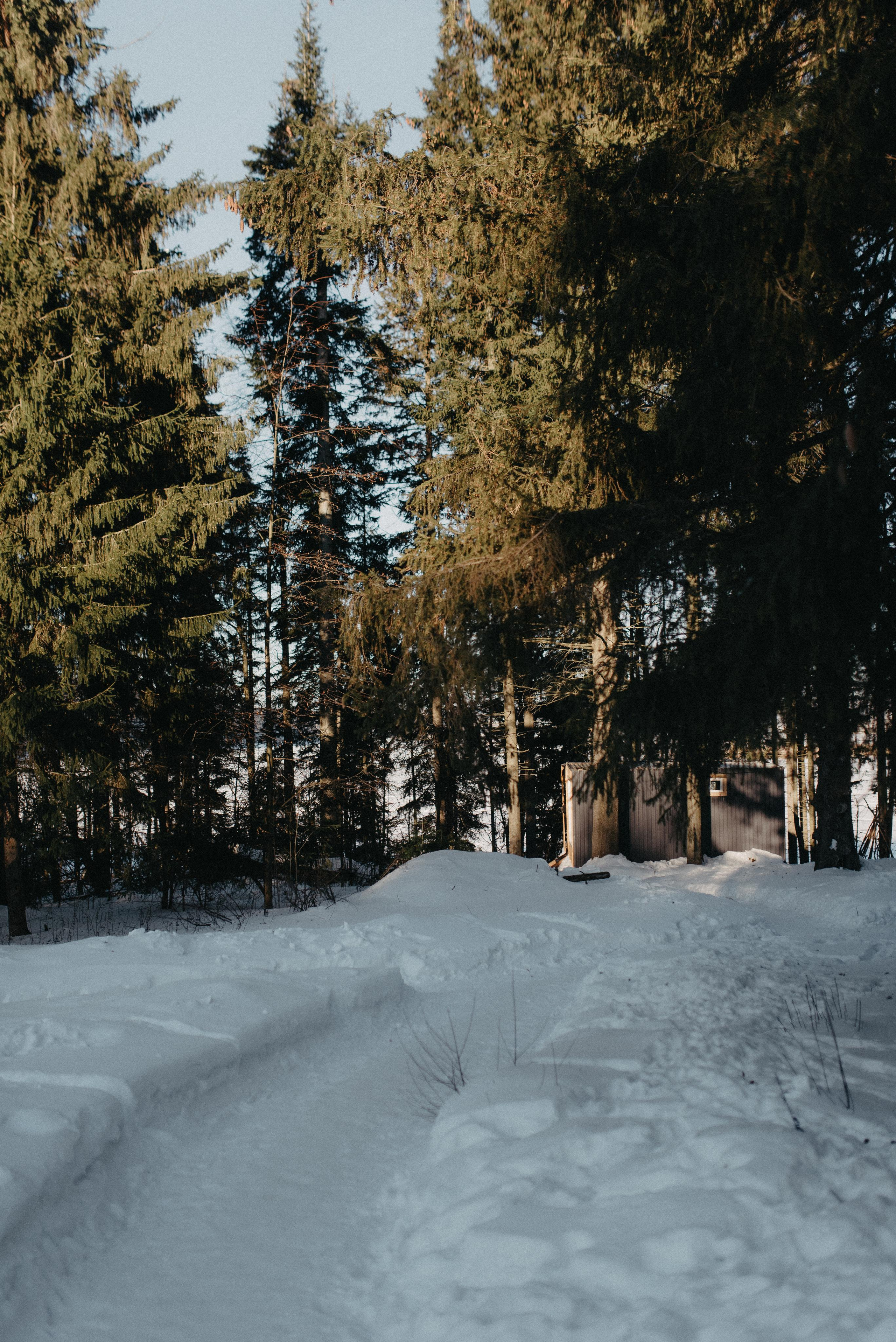 Домик. Главная