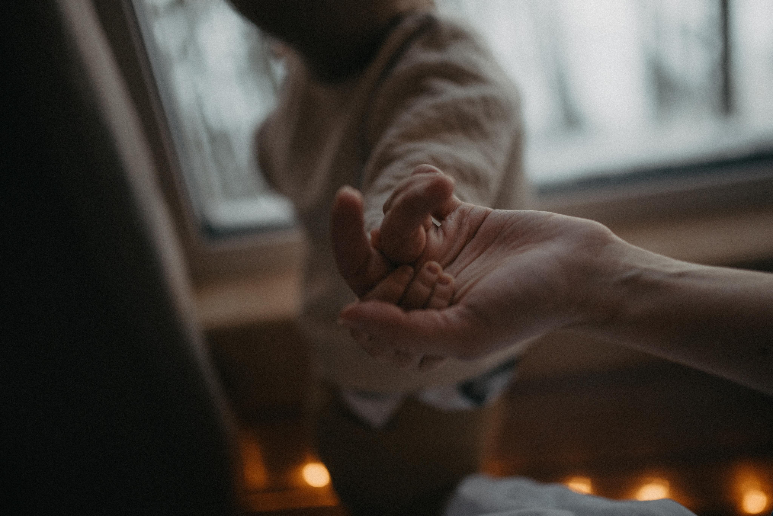 Домик. Главная