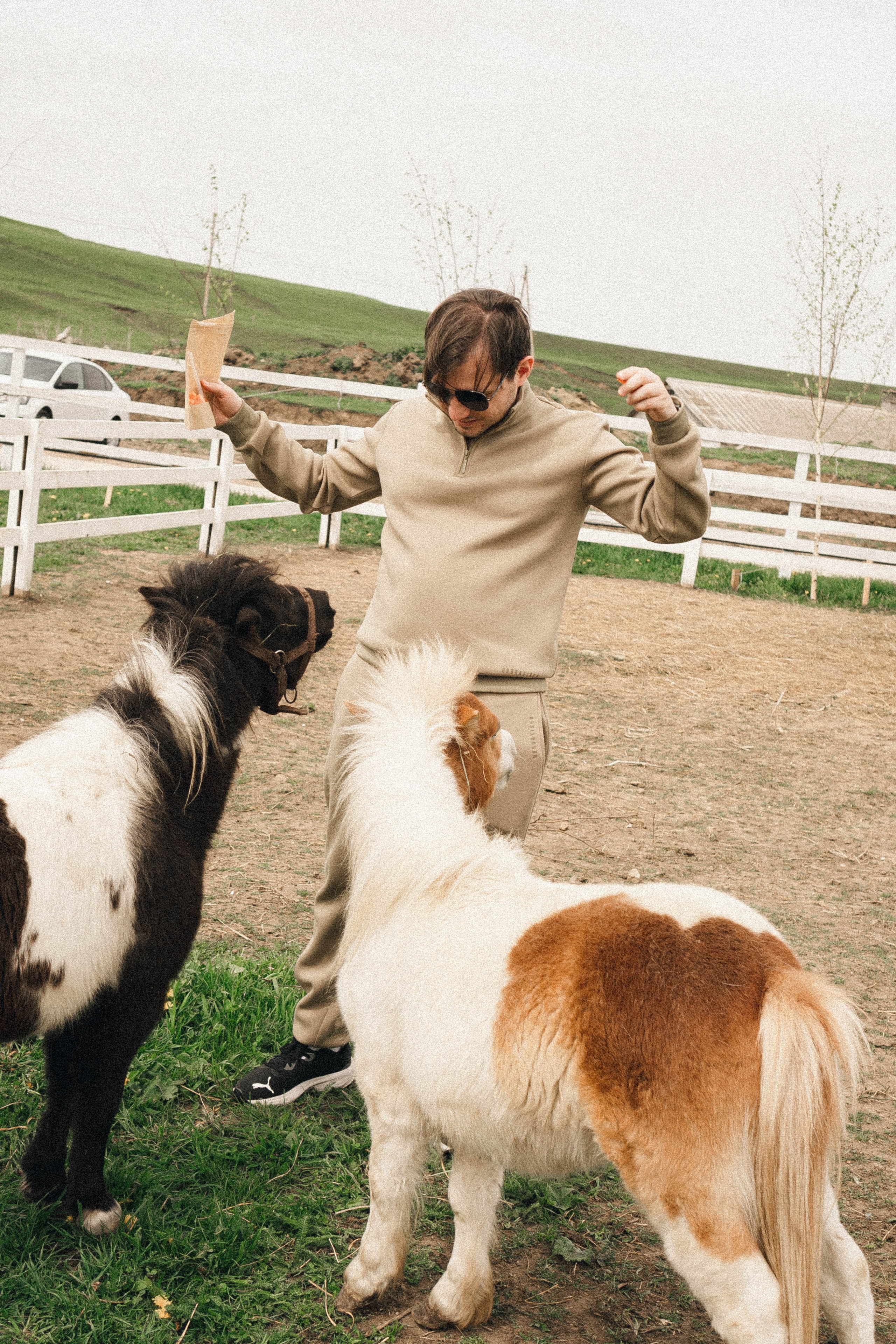 Ферма Альпак. Профессиональный фотограф, Санкт-Петербург — Виктория Богомолова