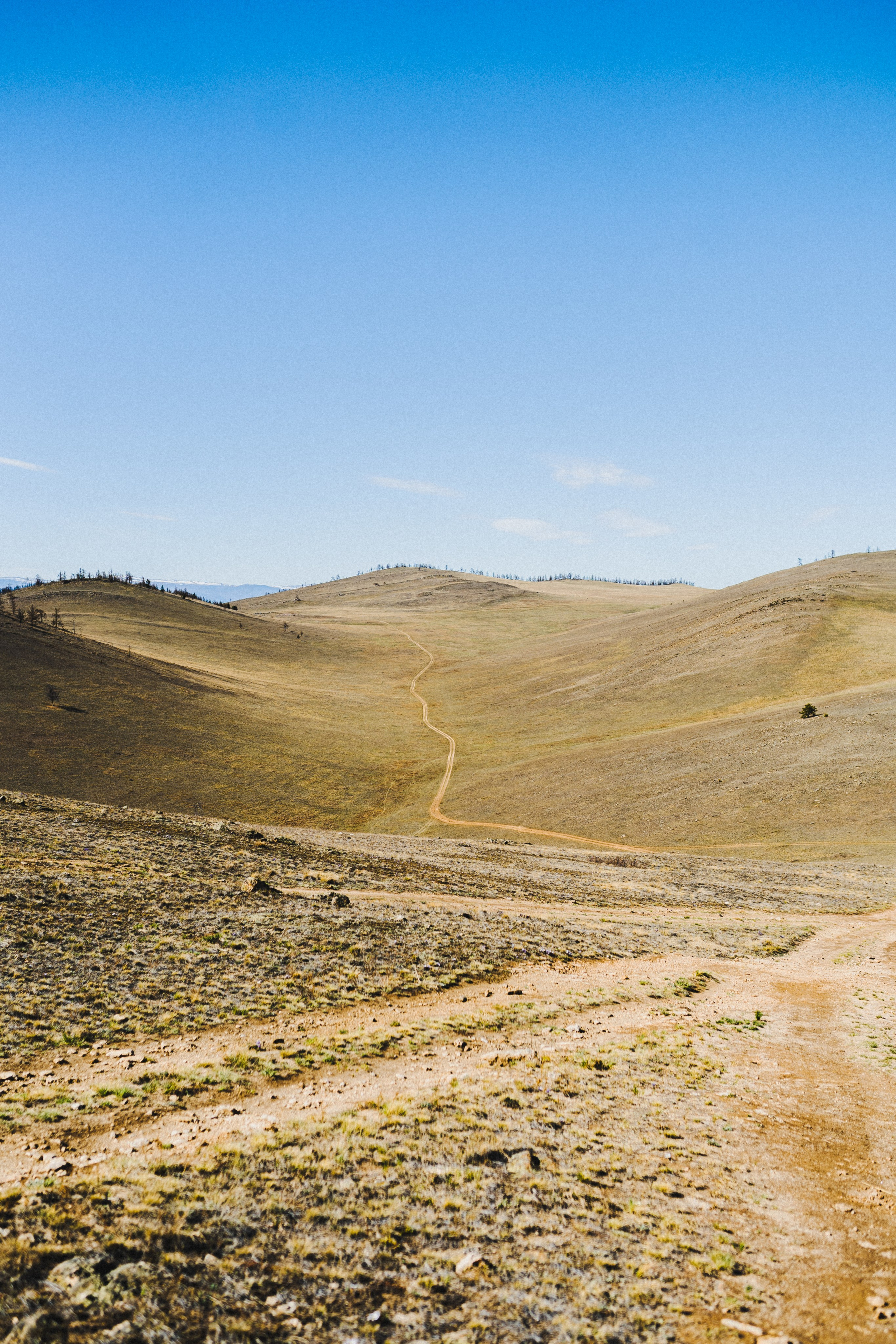 Фотографии. Фотограф Иркутск