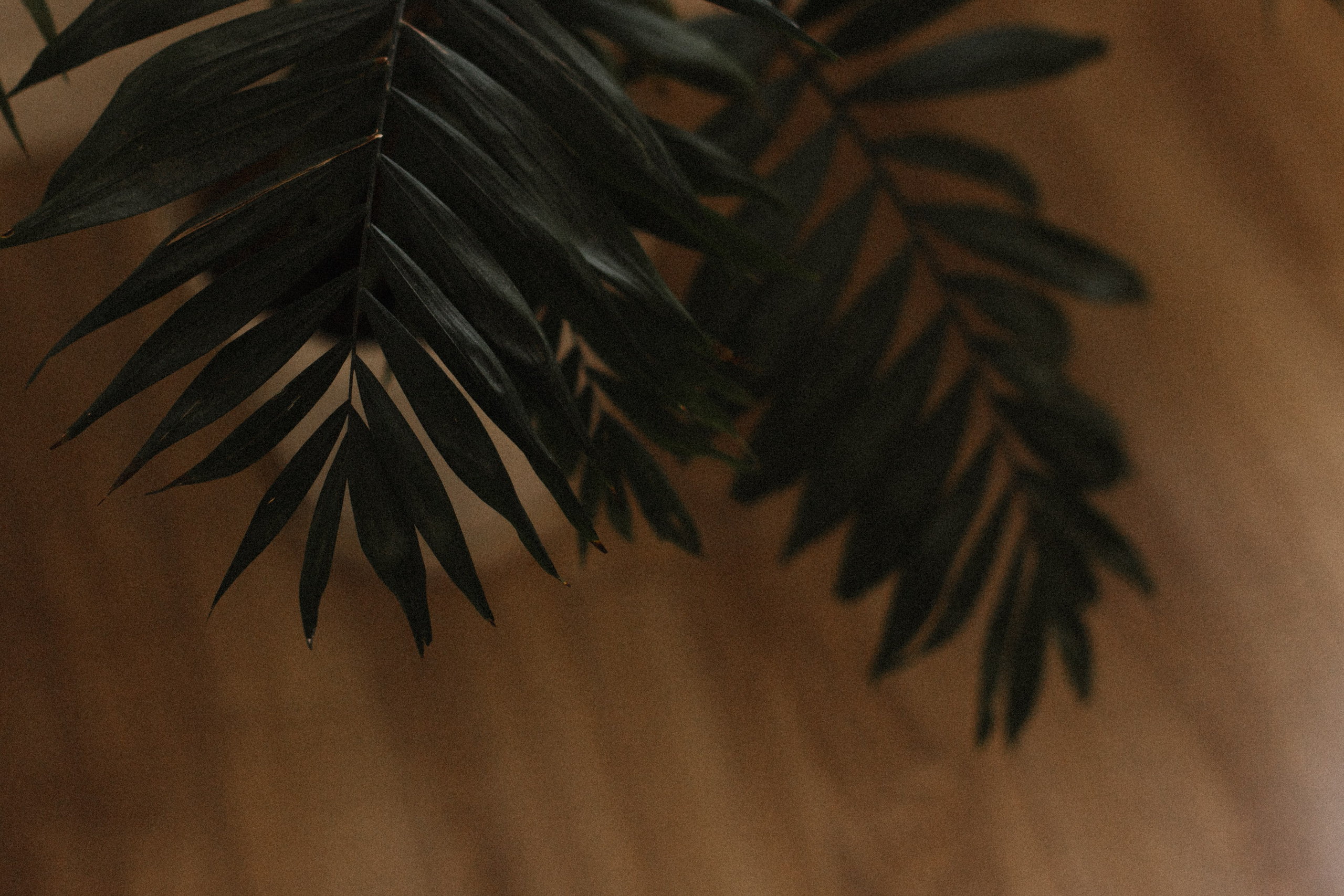 Дом там, где ты. Фотограф Диана Хасанова, г. Казань