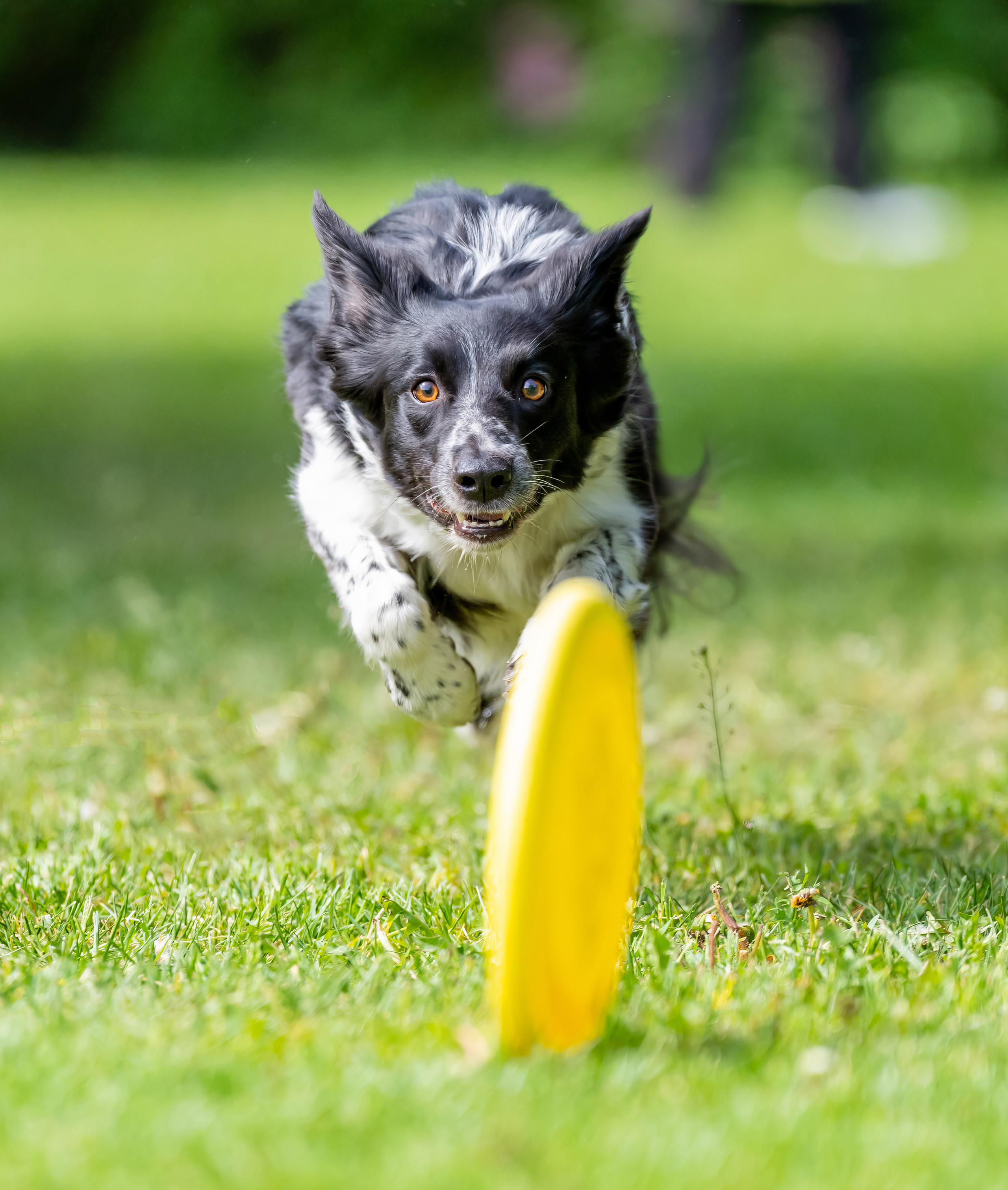 Репортаж. События. Константин Дем | Фотограф