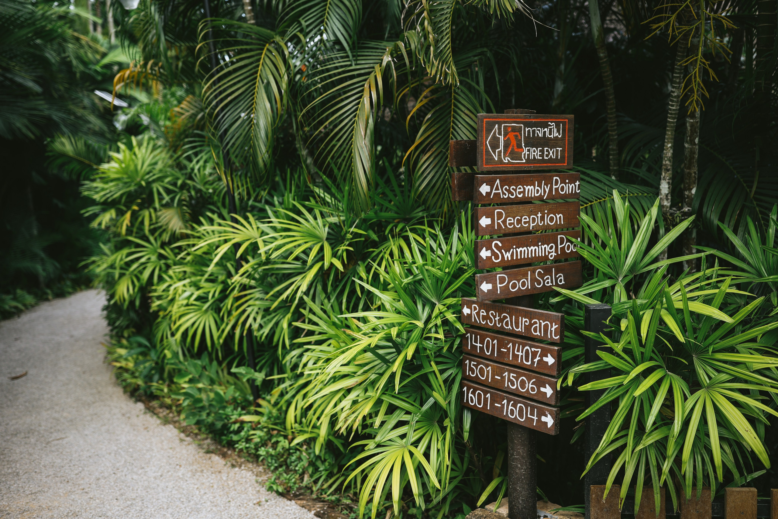 Thailand / Ban Sainai Resort. Ekaterina Buneeva Photography