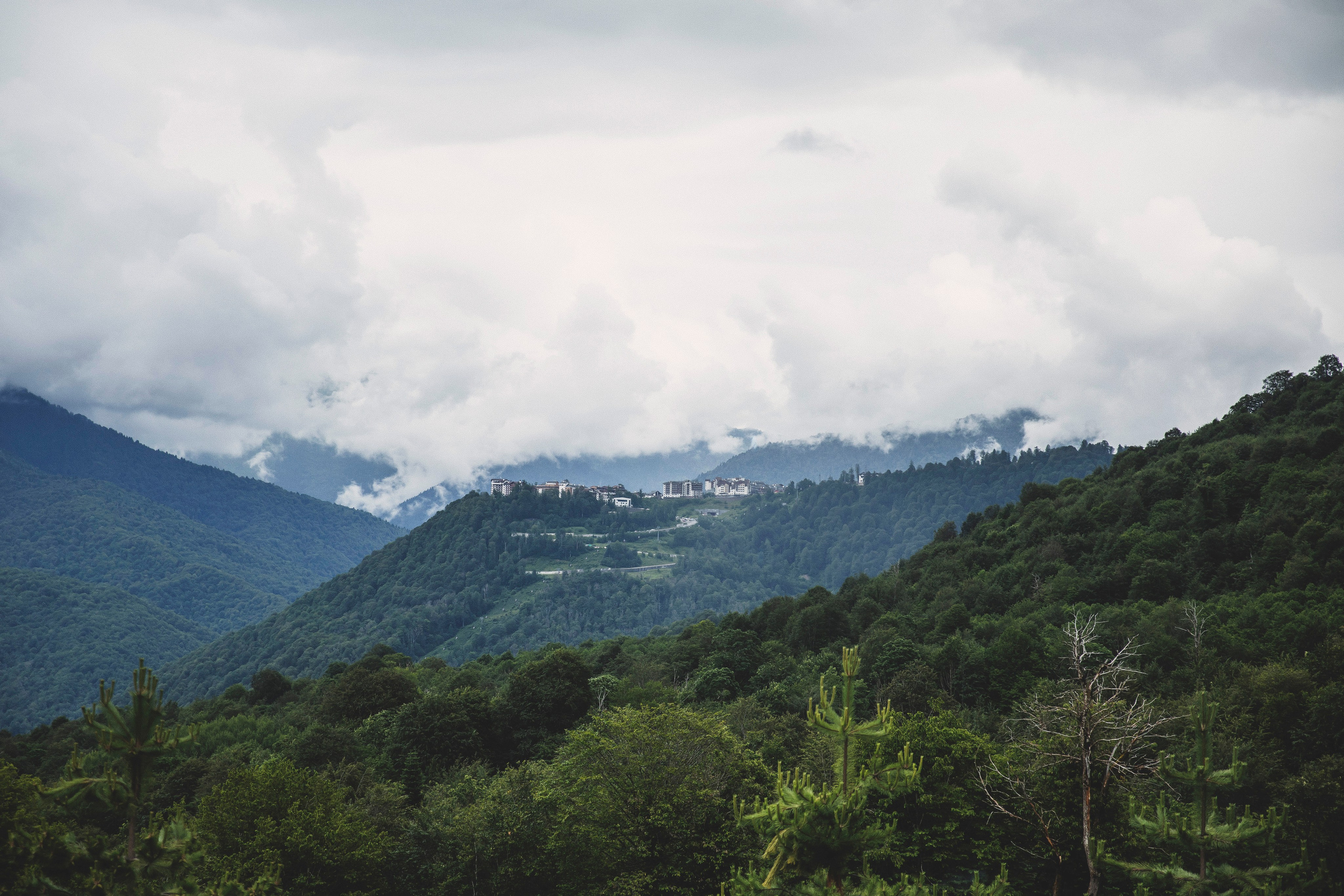 Александра и семья, Красная поляна. Свадебный и семейный фотограф Колоскова Мария (Сочи и весь мир)