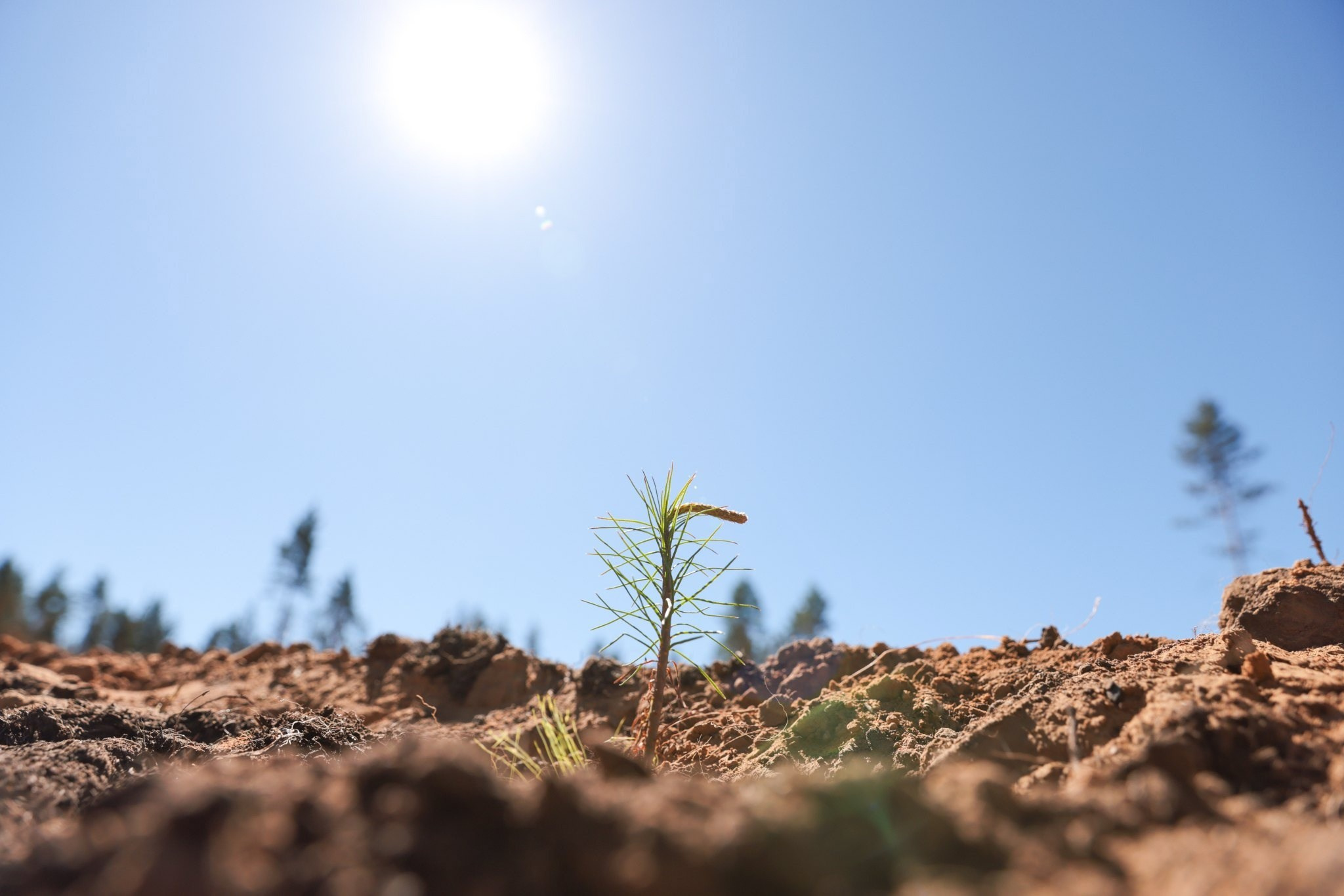 Фотосъёмка деловым мероприятий. Спортивный фотограф Зянтереков Антон