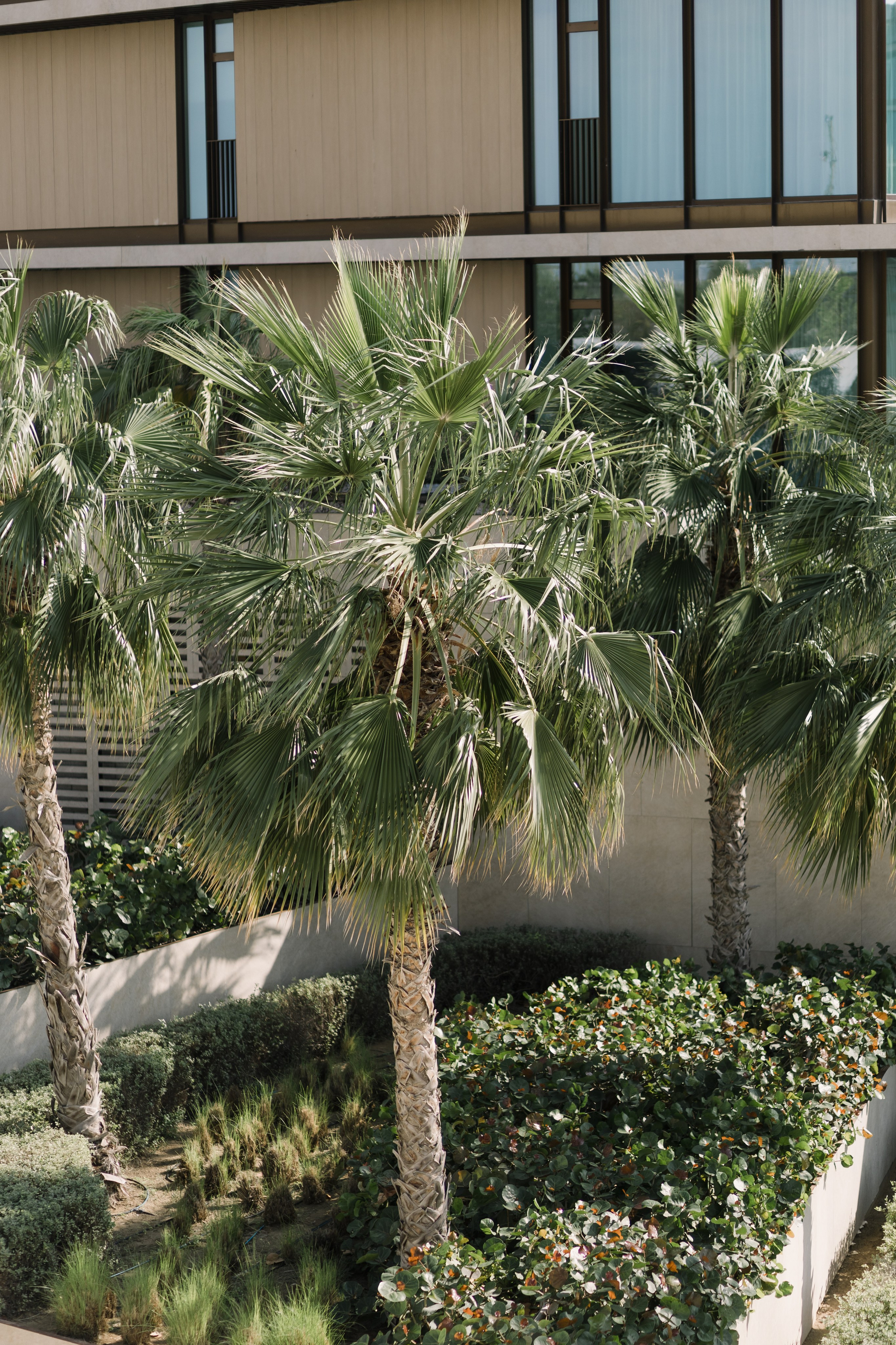 Kamilya & Anas. Свадебный и семейный фотограф в Москве