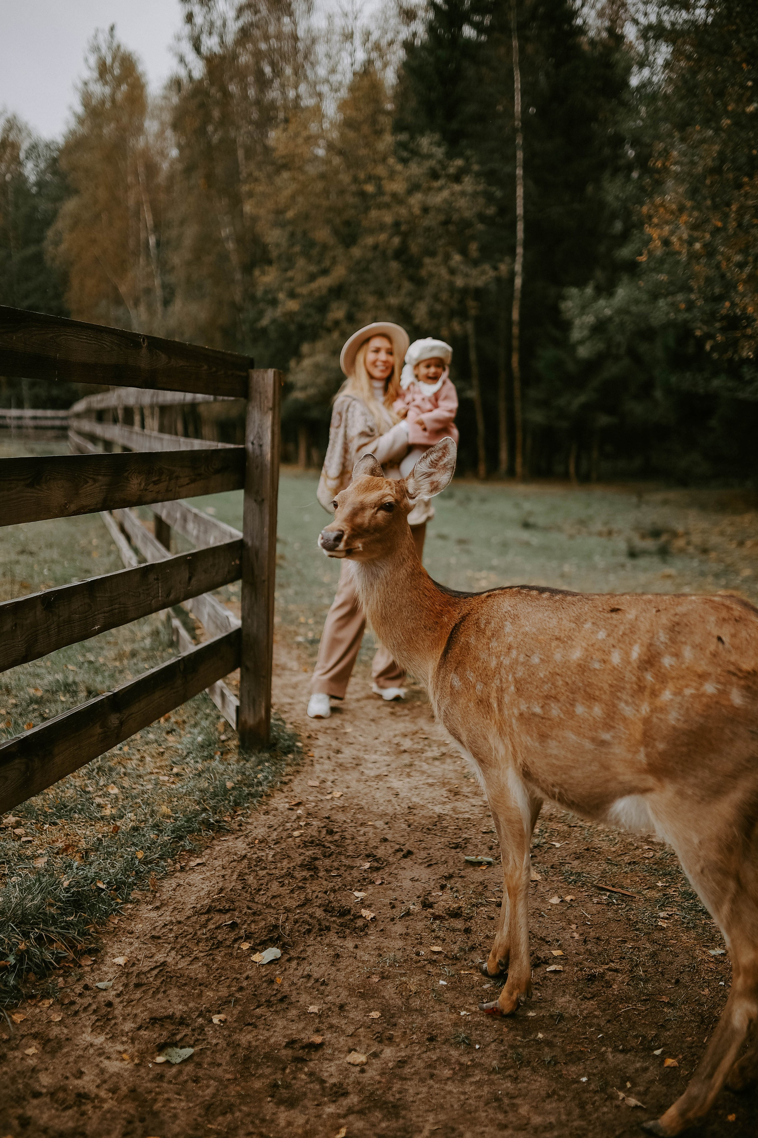 Фотовстреча с оленями. Photographer in Moscow & everywhere in the World Alena Vyalova