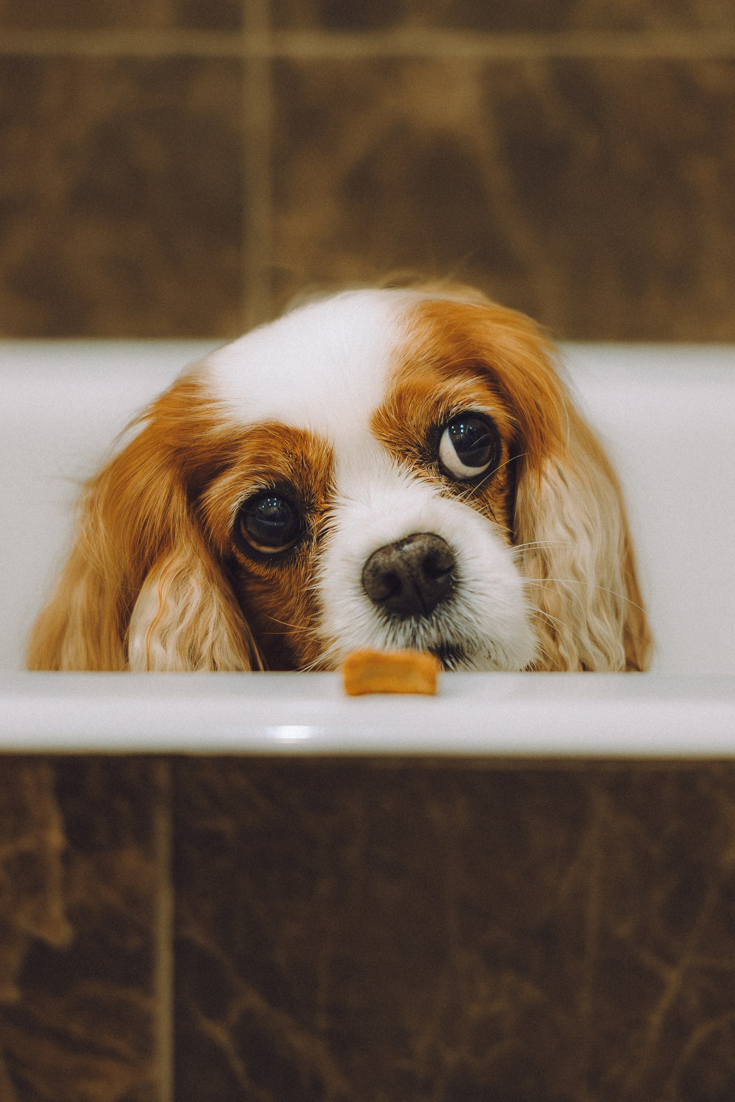 Наташа и Вики