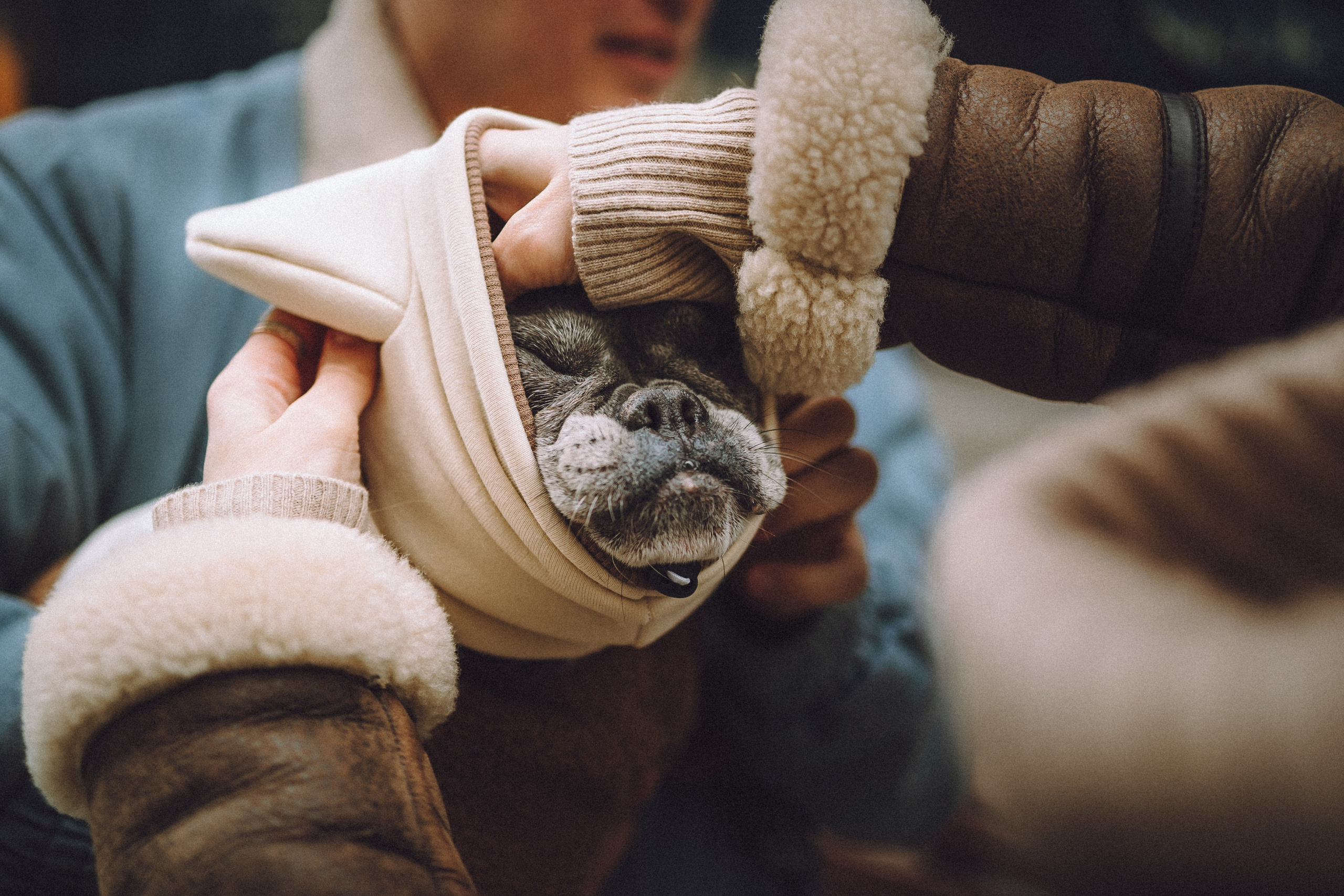 Юля, Вова и Моня