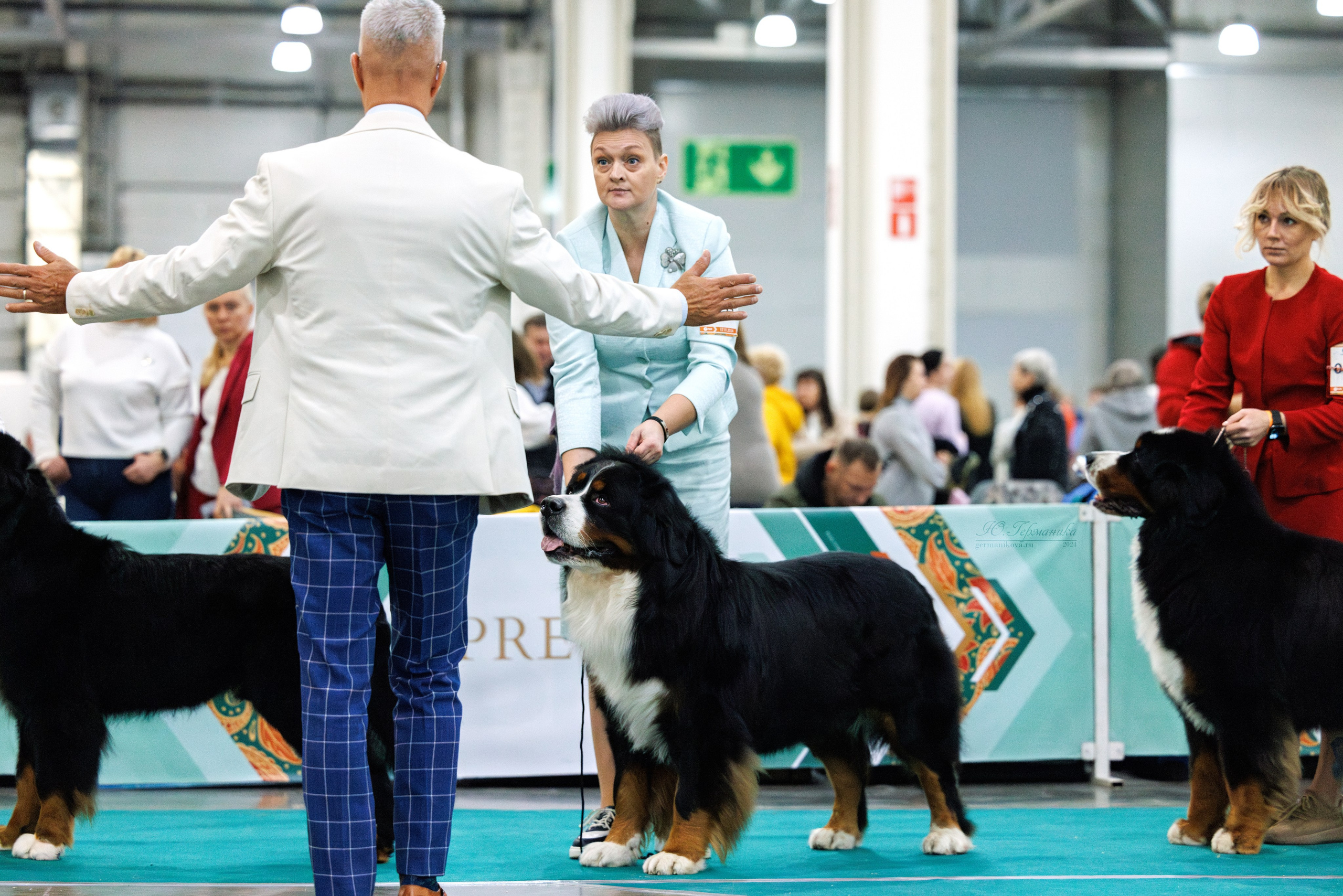 Евразия 16-17.11.2024. Фотограф-анималист Юлия Германика