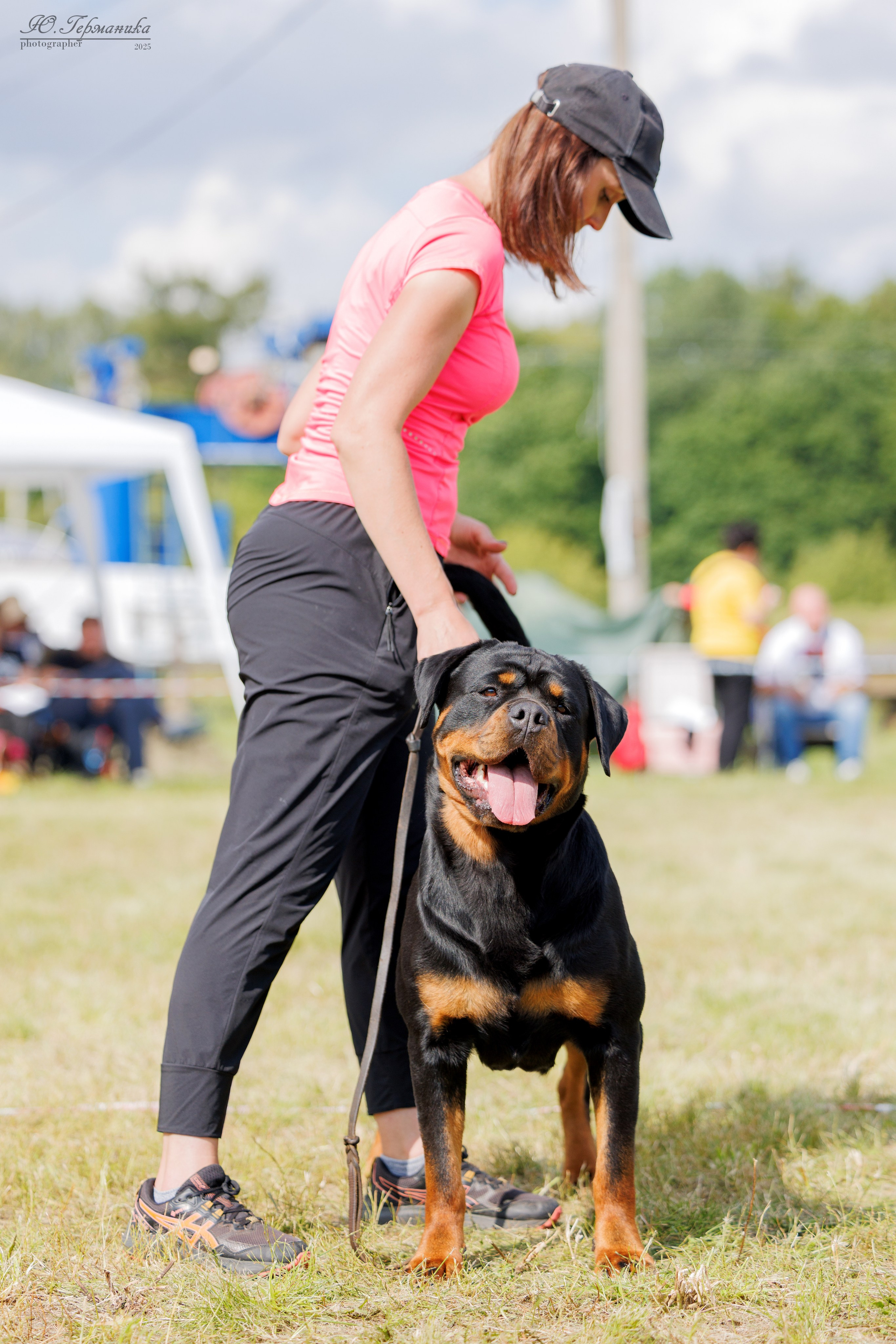 Рязань 2хмоно ротвейлеры 16-17.08.2025. Фотограф-анималист Юлия Германика