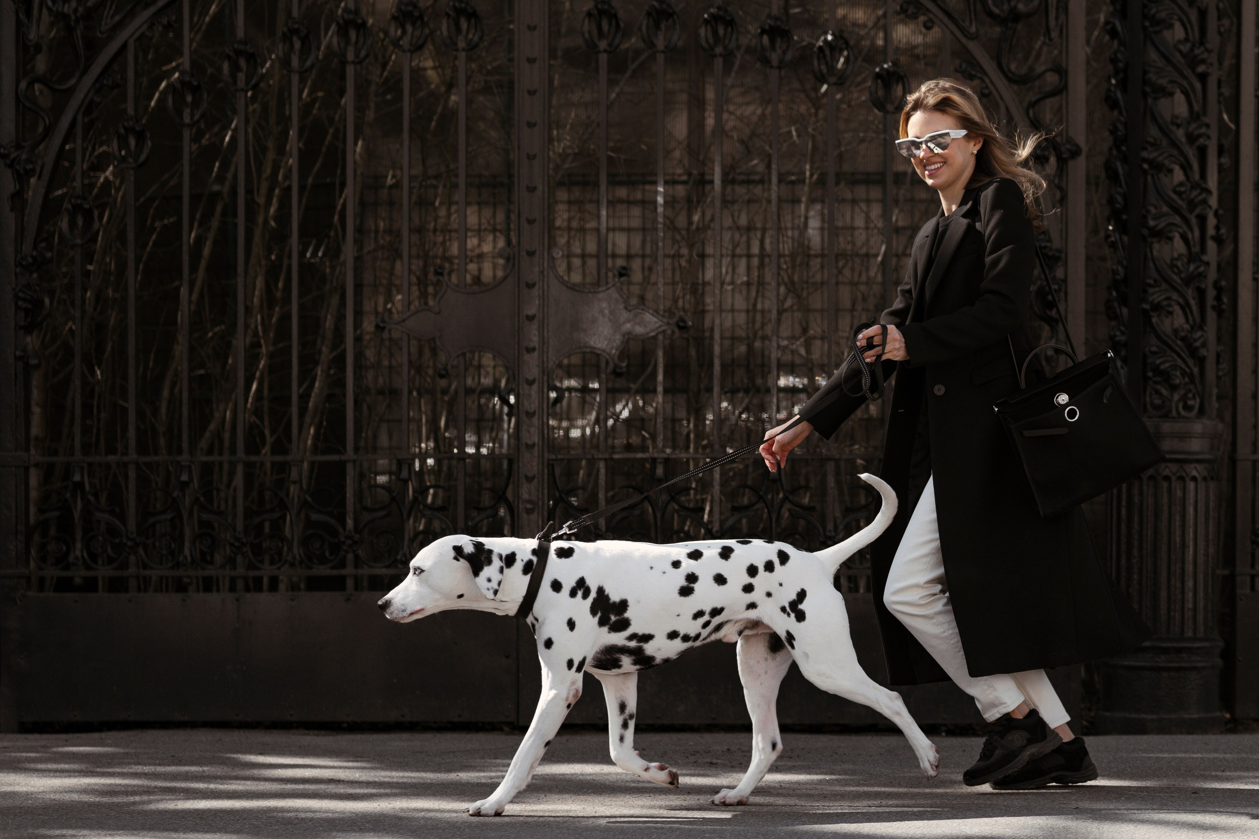 DOGIGO на прогулке. Фотограф анималист в Санкт-Петербурге Таша Крейв
