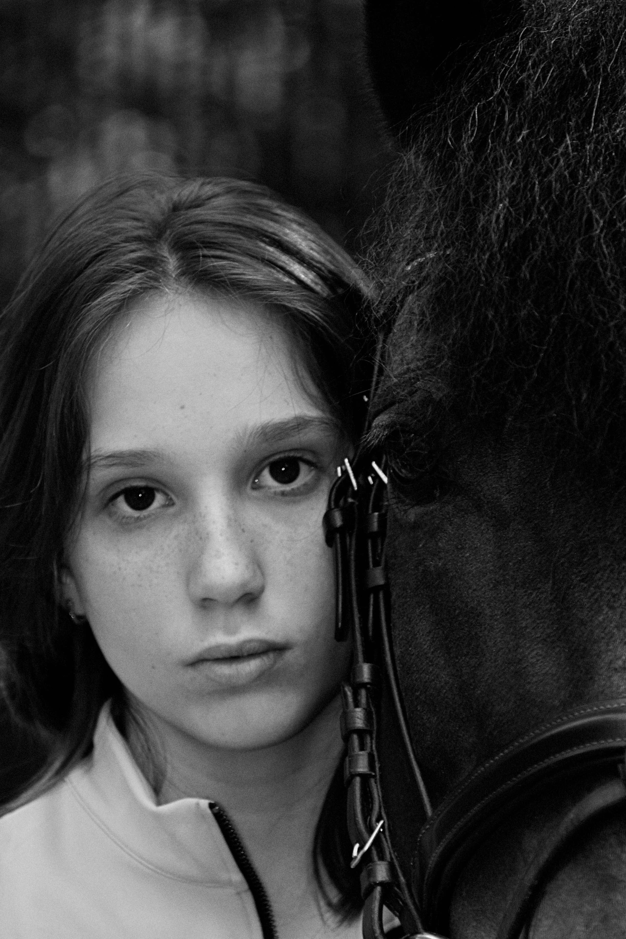 Александра и Капрал (клеппер). Конный фотограф Москва