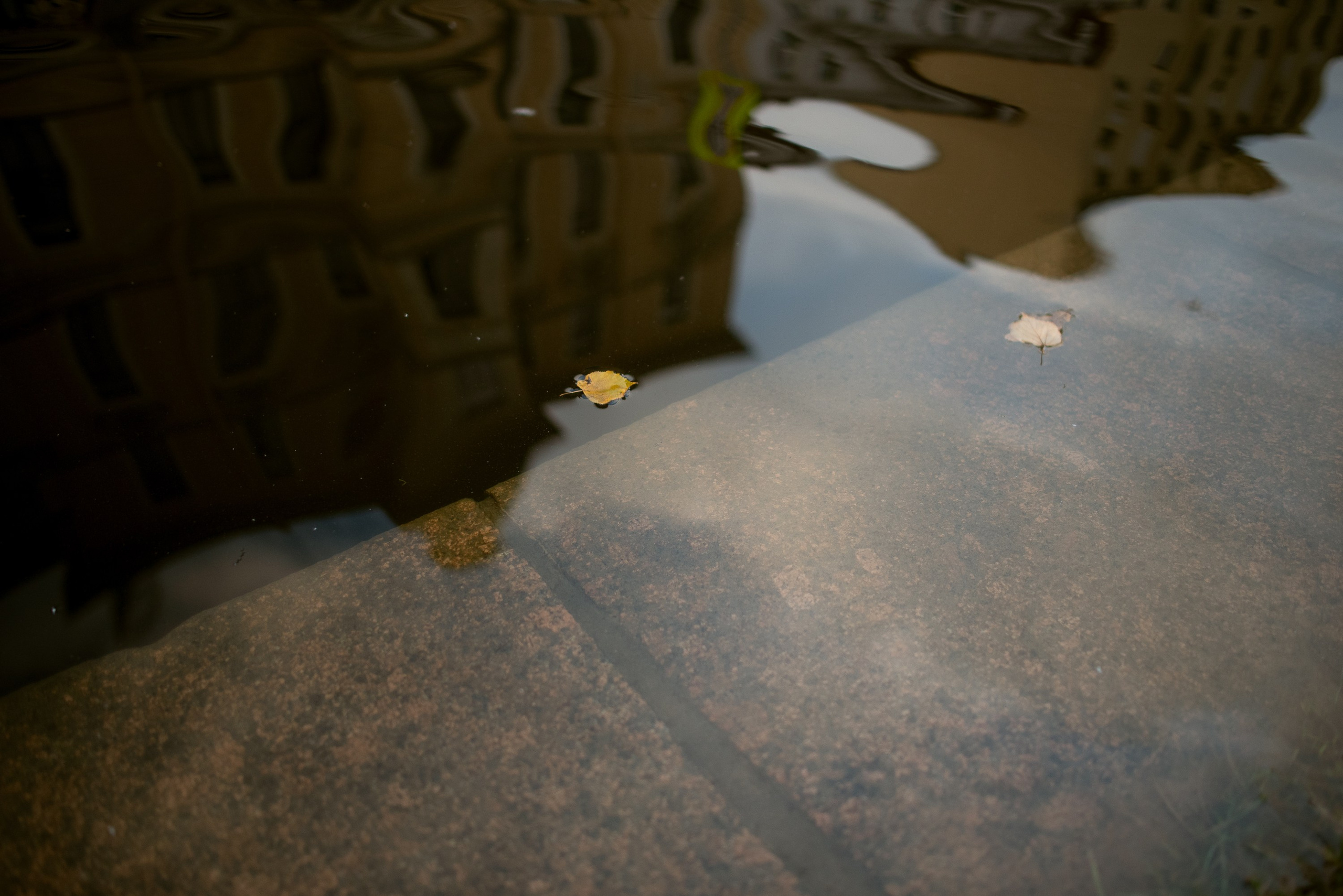 Walk in New Holland. Documentary family photography in Barcelona and beyond